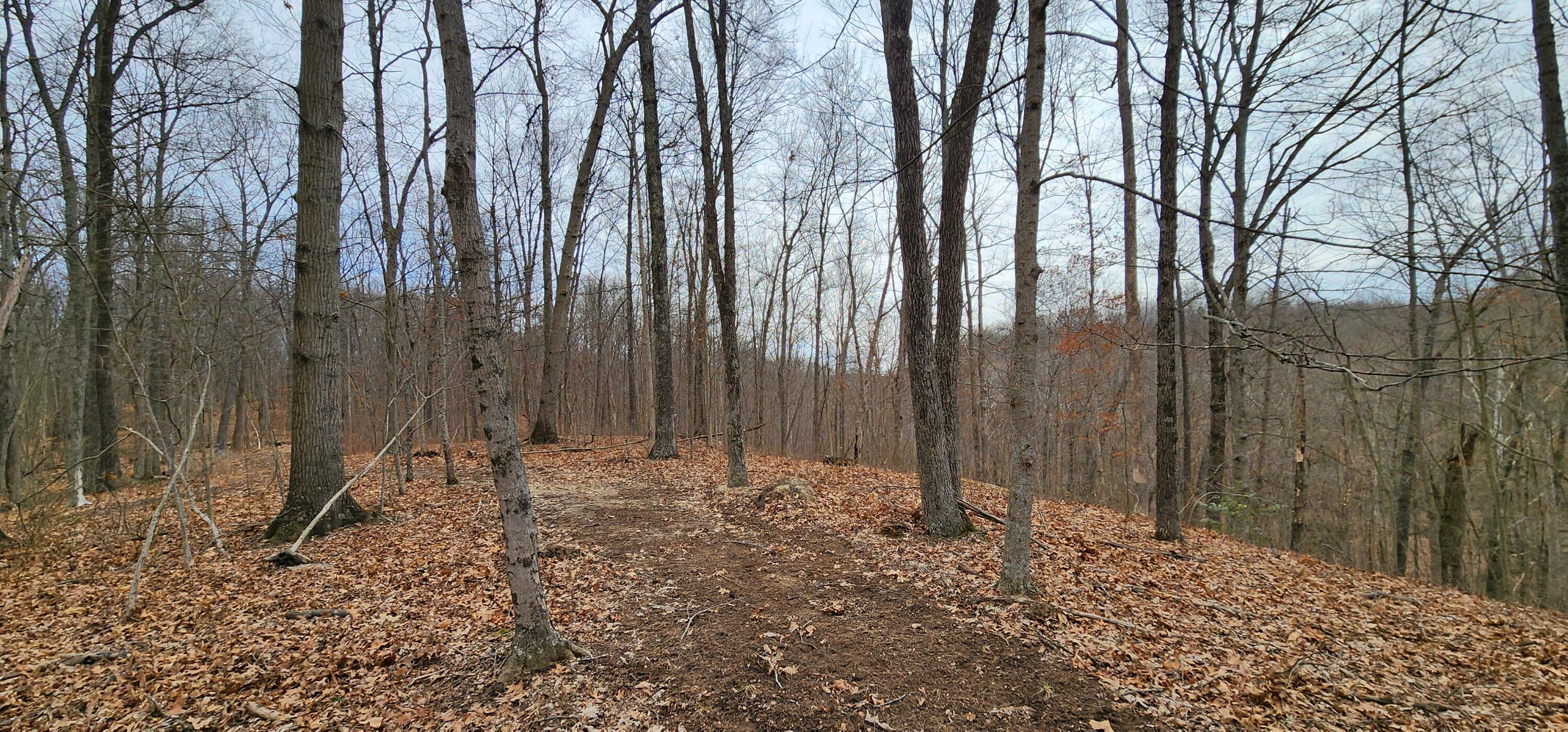 0 Edmunson Road, (tract 6 At Big Timber) Property Photo 49