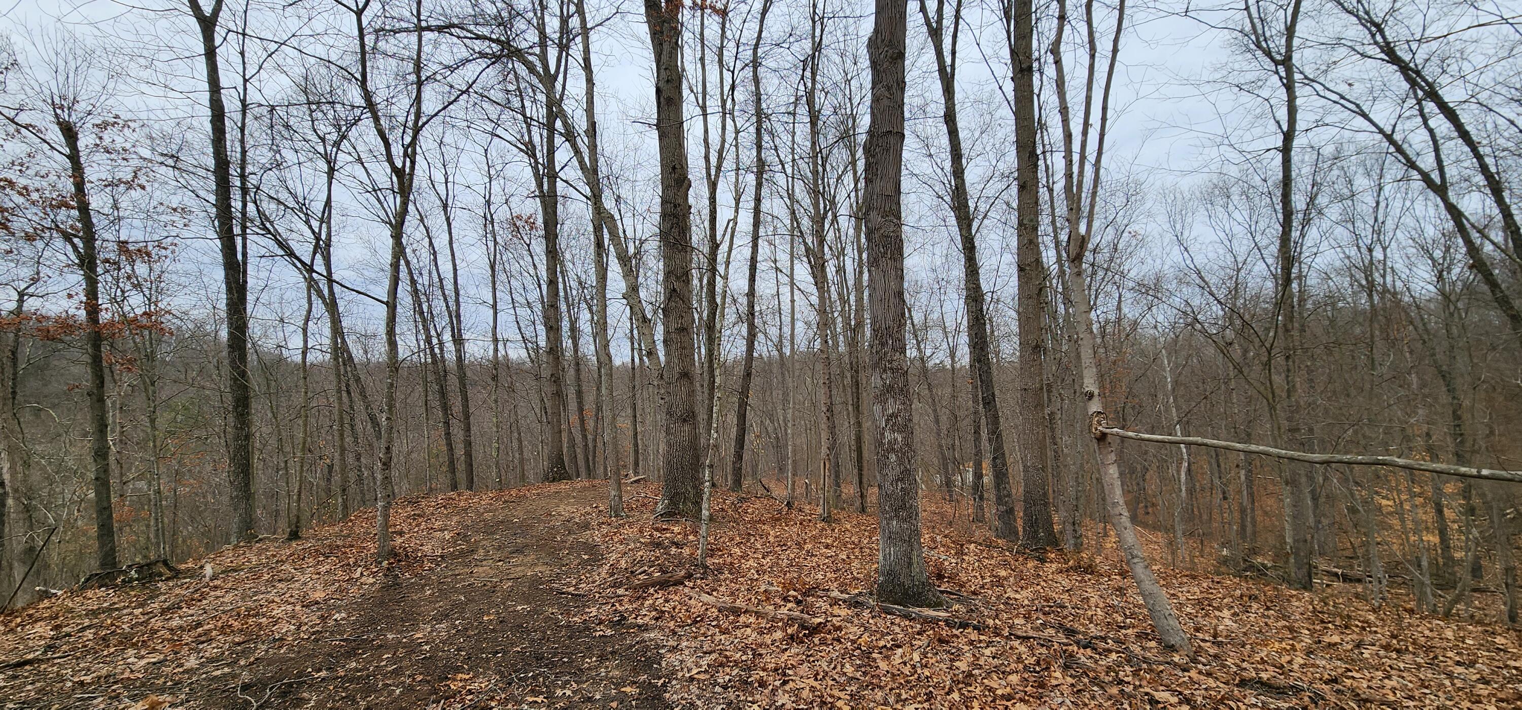 0 Edmunson Road, (tract 6 At Big Timber) Property Photo 50