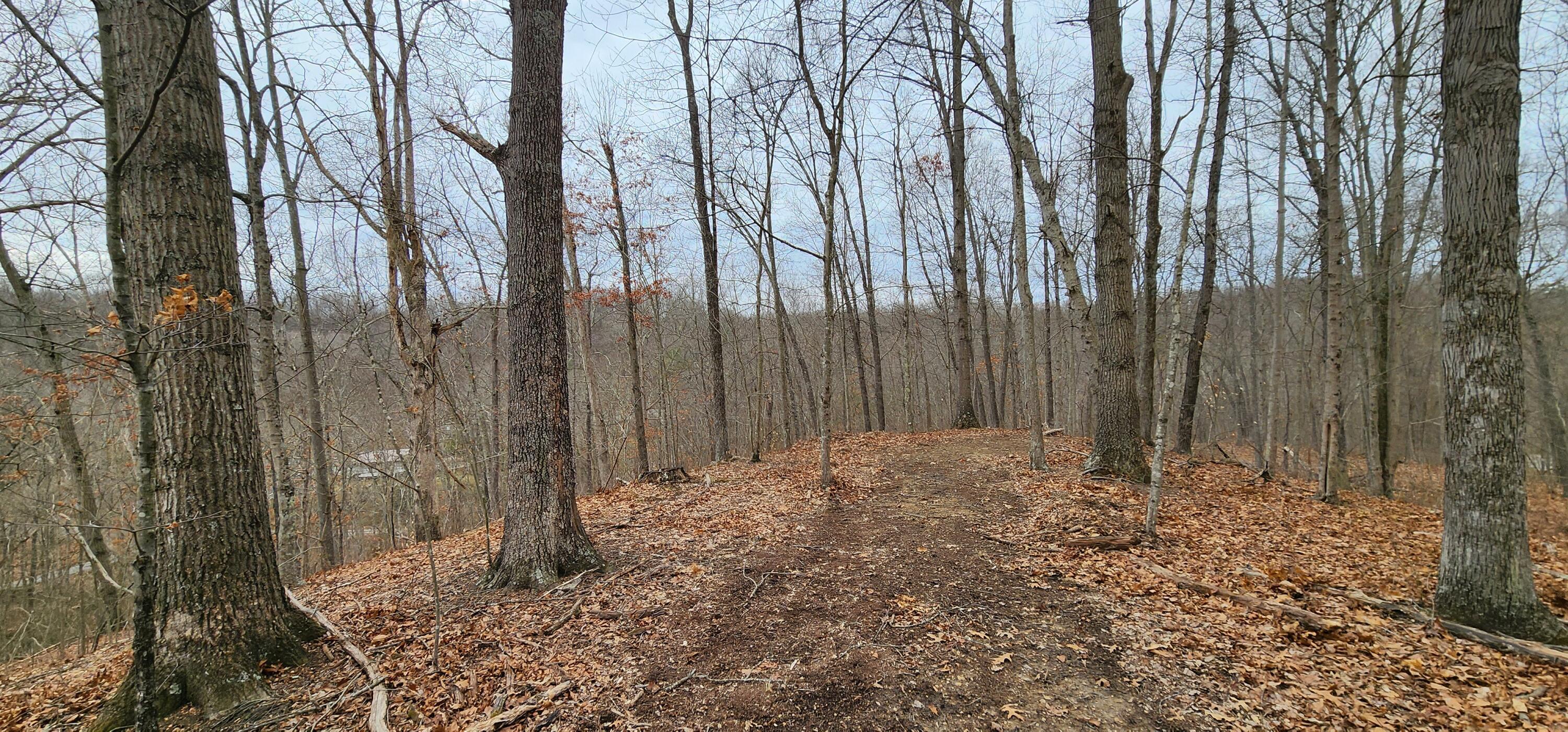 0 Edmunson Road, (tract 6 At Big Timber) Property Photo 51