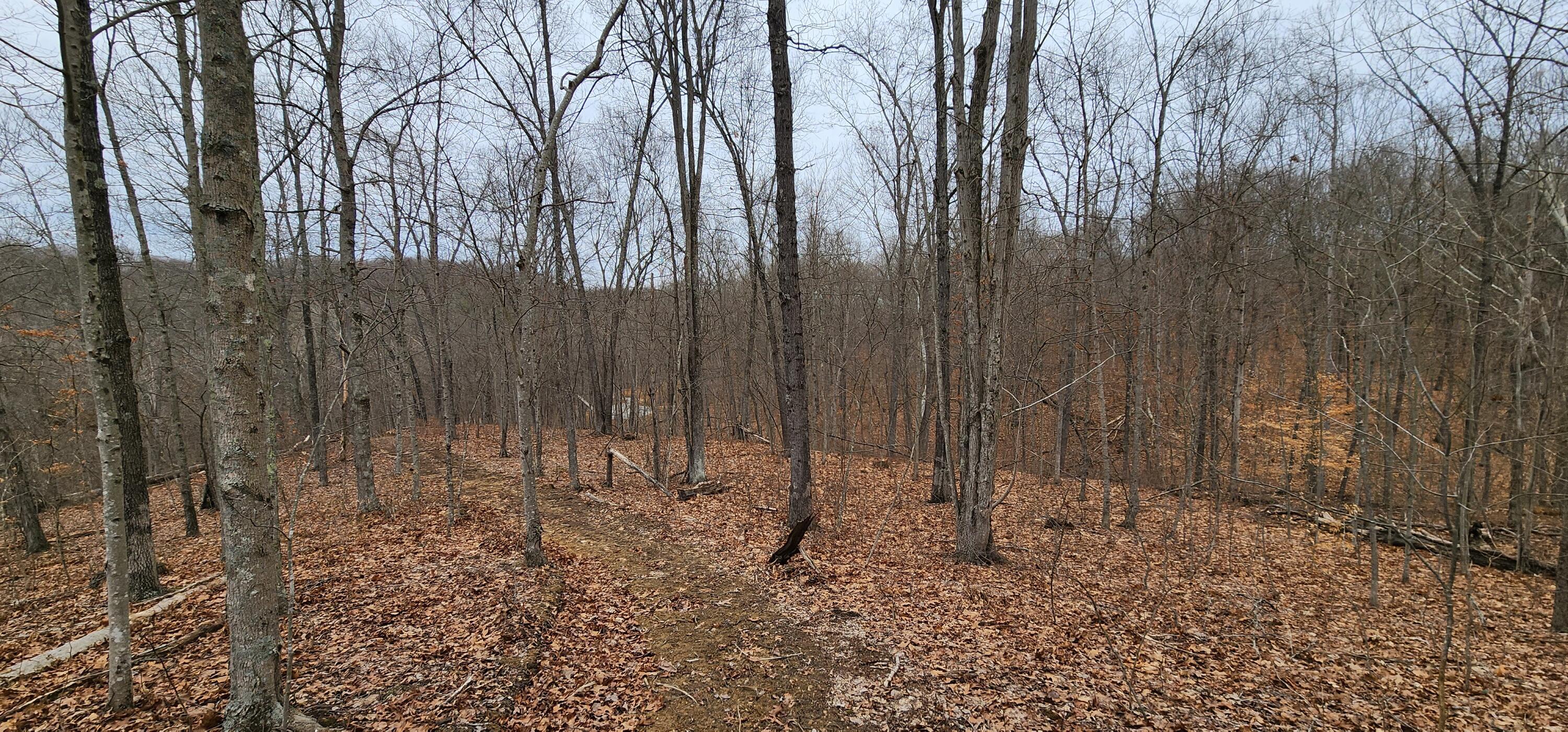 0 Edmunson Road, (tract 6 At Big Timber) Property Photo 53