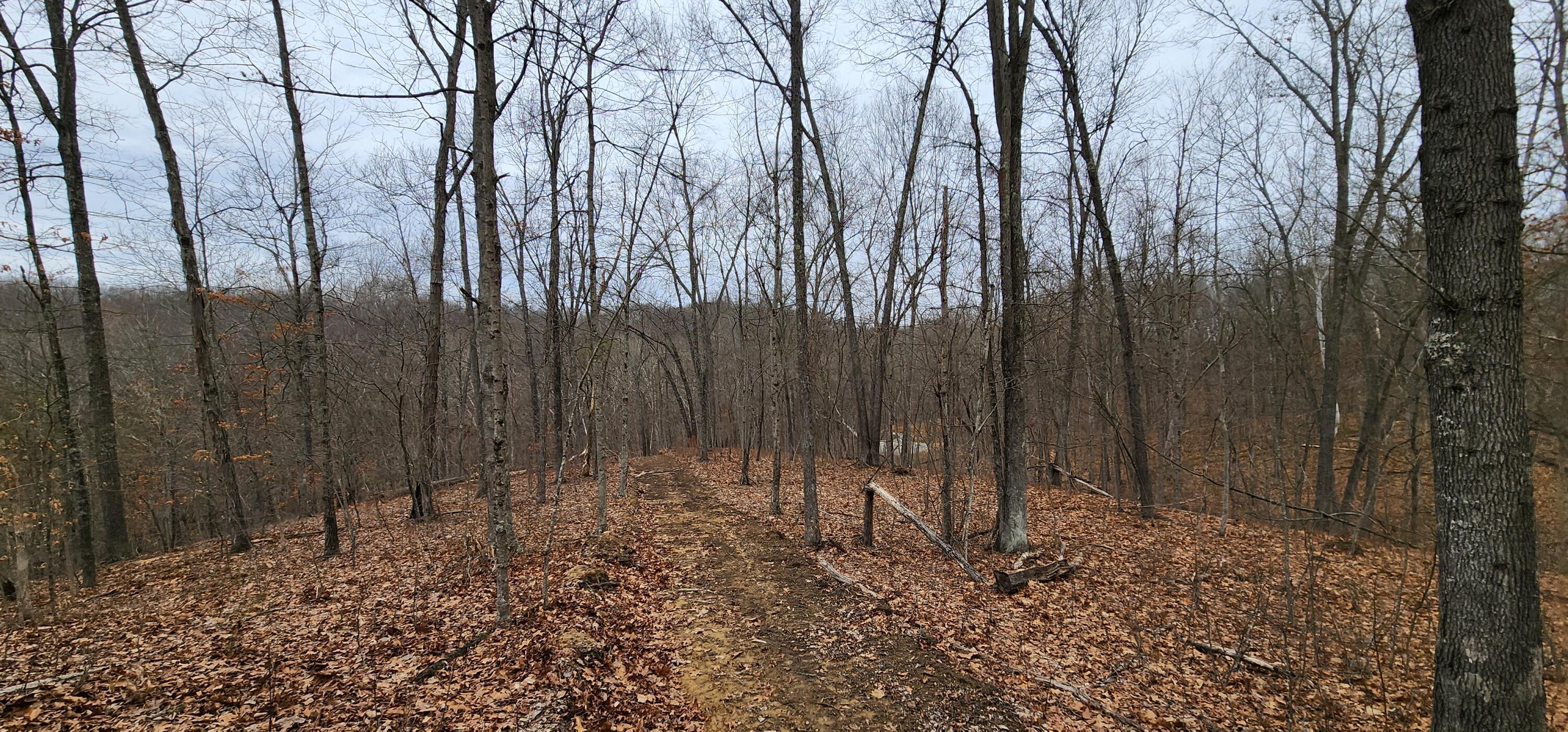 0 Edmunson Road, (tract 6 At Big Timber) Property Photo 54