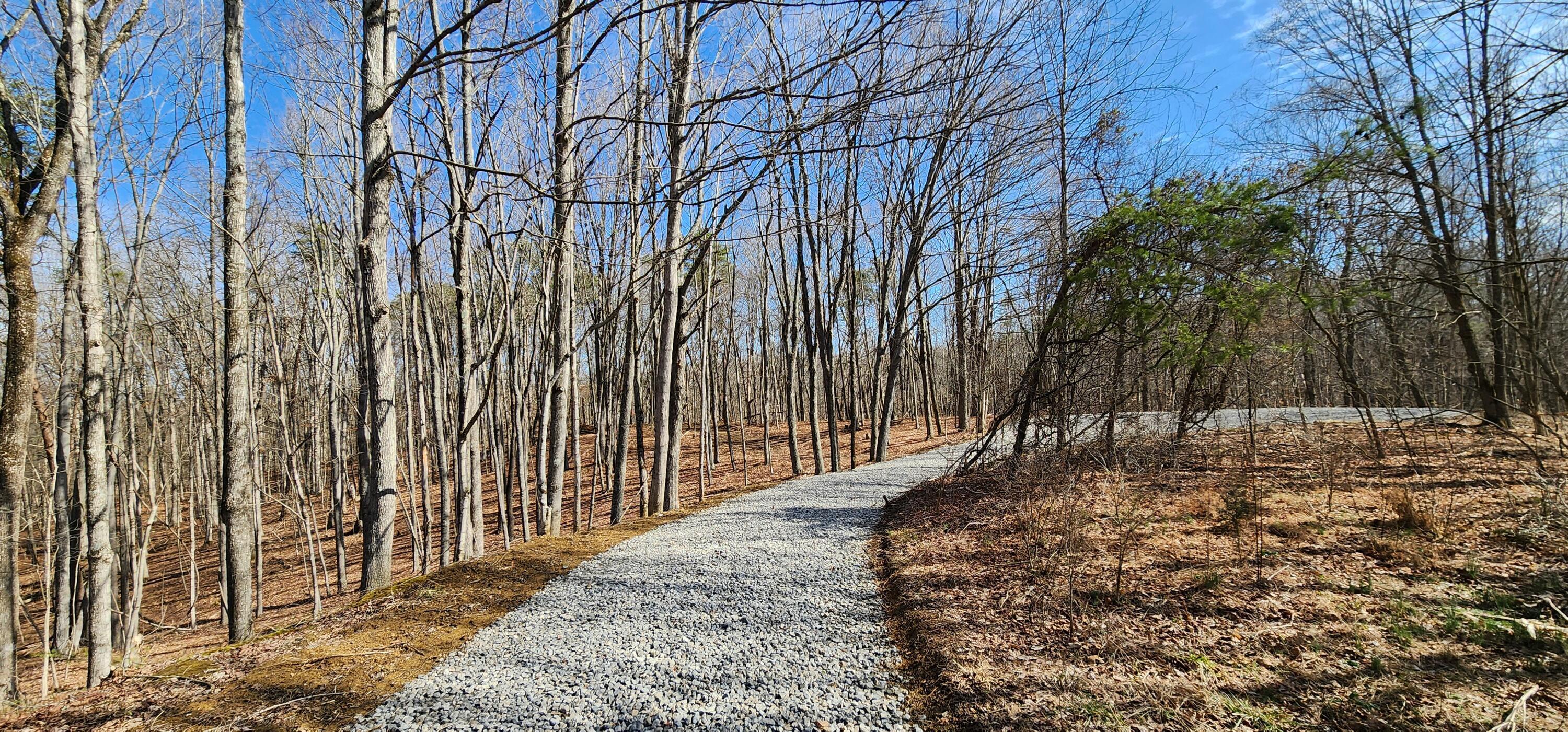 0 Edmunson Road, (tract 6 At Big Timber) Property Photo 55