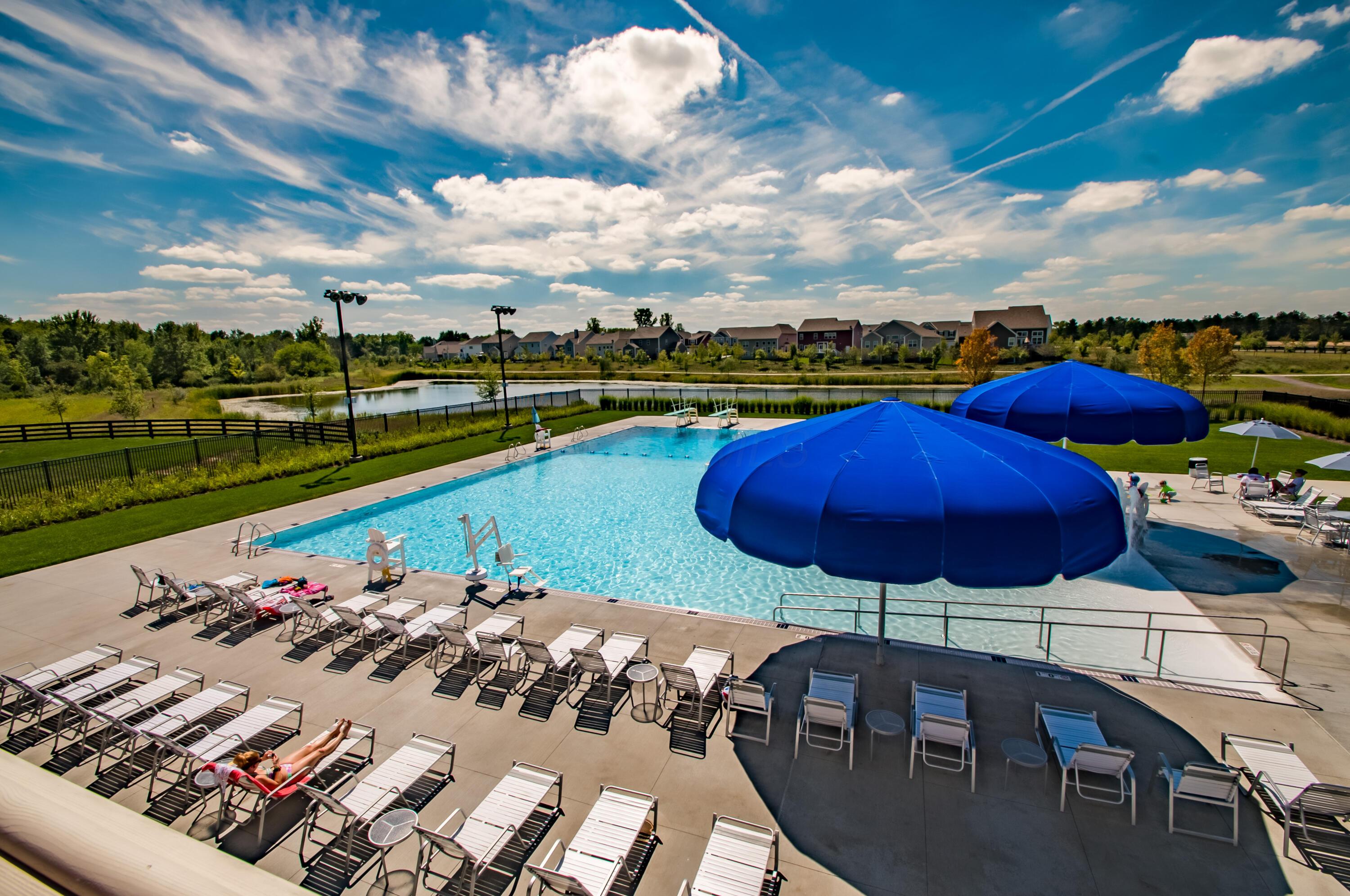 8280 Daylily Drive Property Photo 47