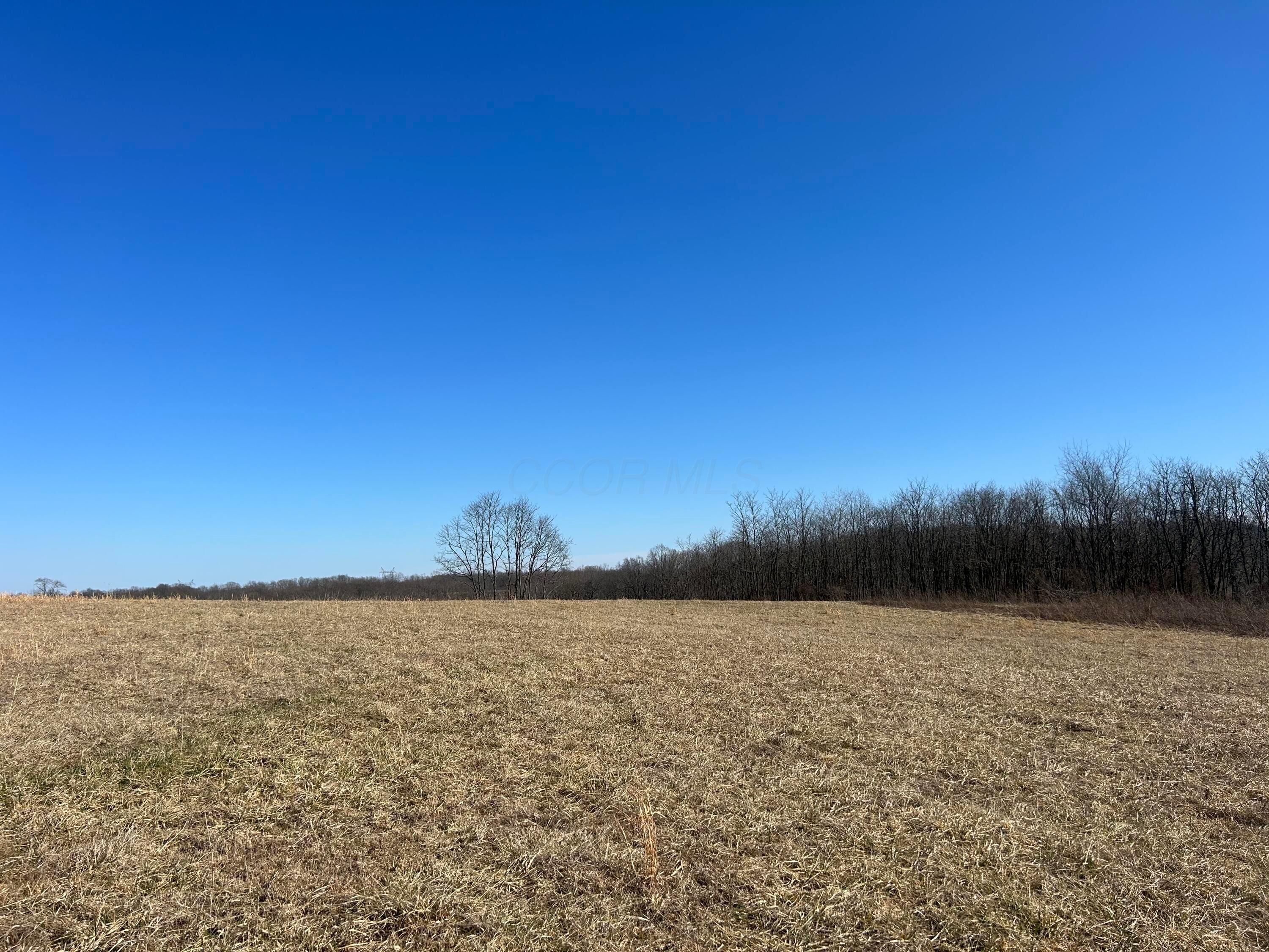 0 Bear Creek Rarden Road Property Photo 41