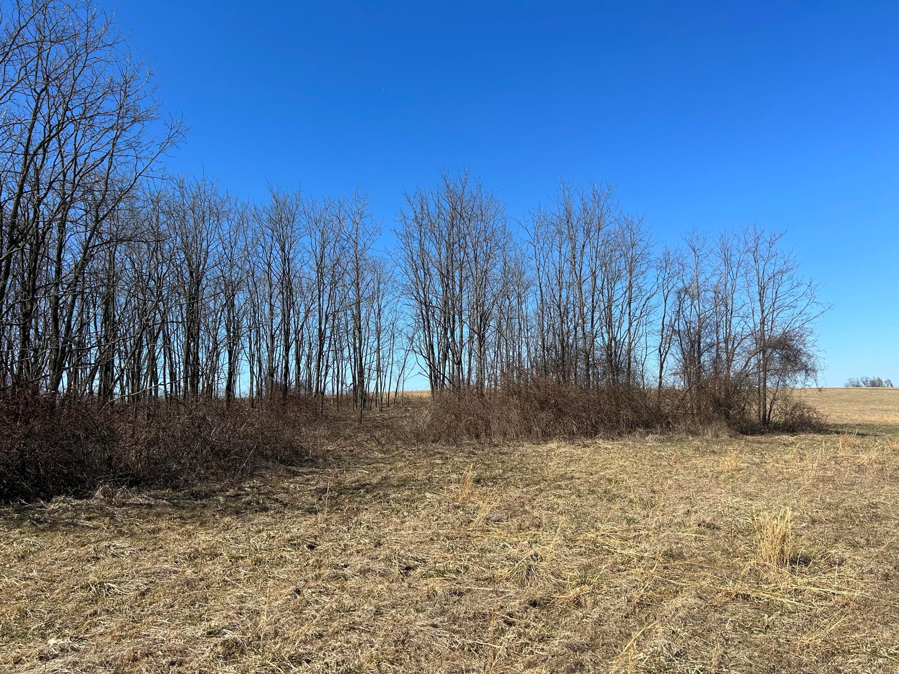 0 Bear Creek Rarden Road Property Photo 48