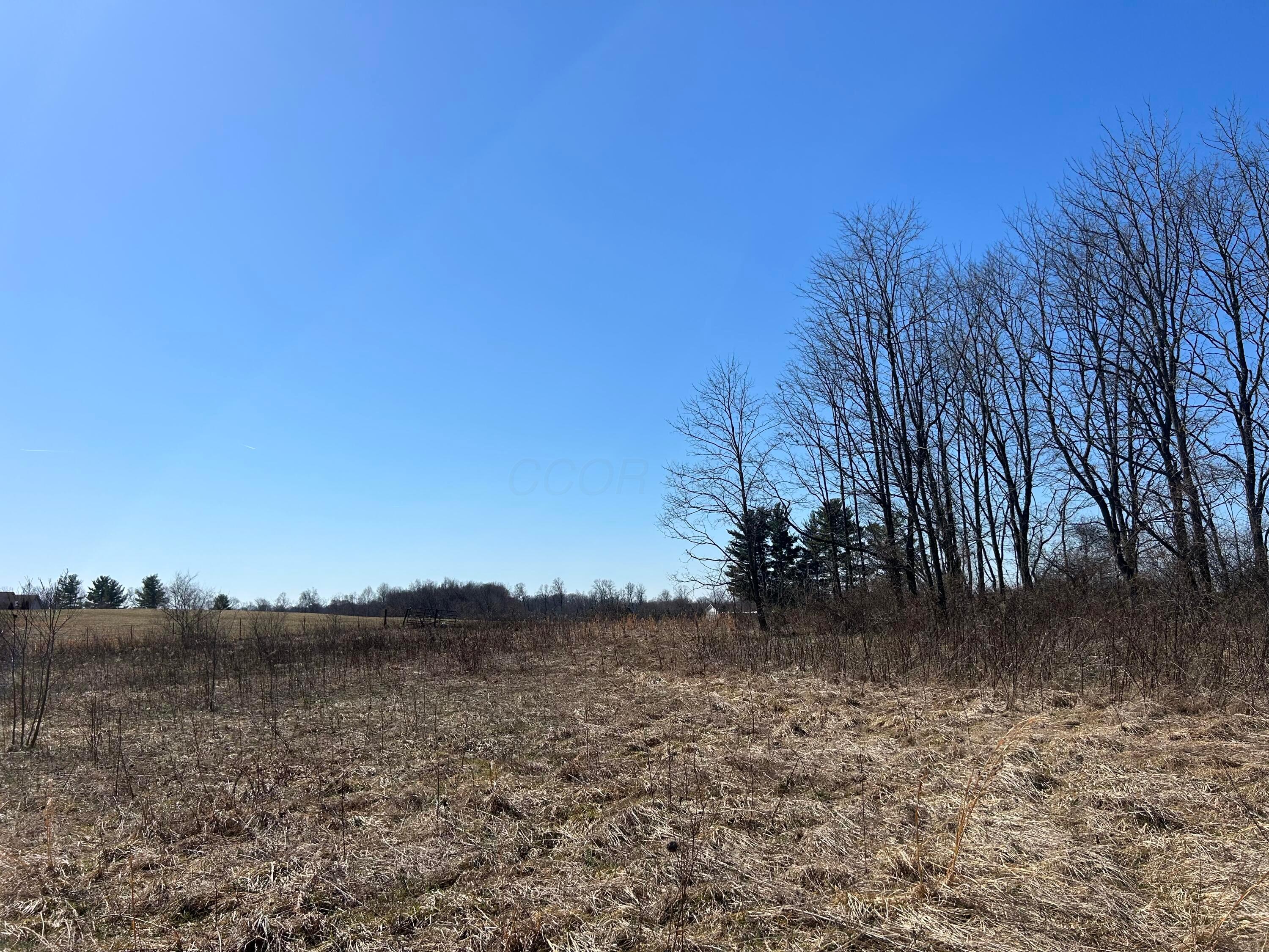 0 Bear Creek Rarden Road Property Photo 52