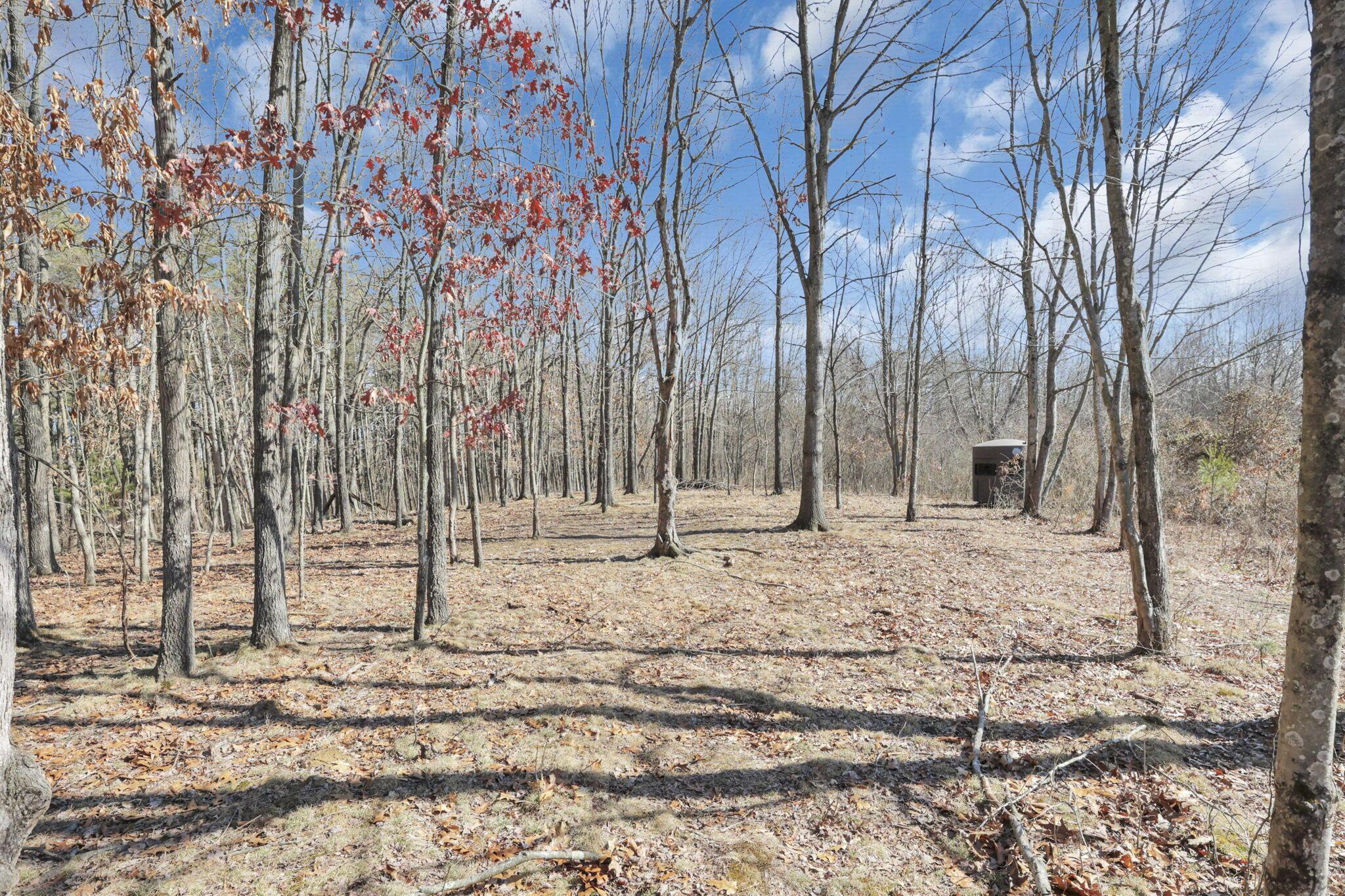 1540 State Route 681 S Property Photo 74