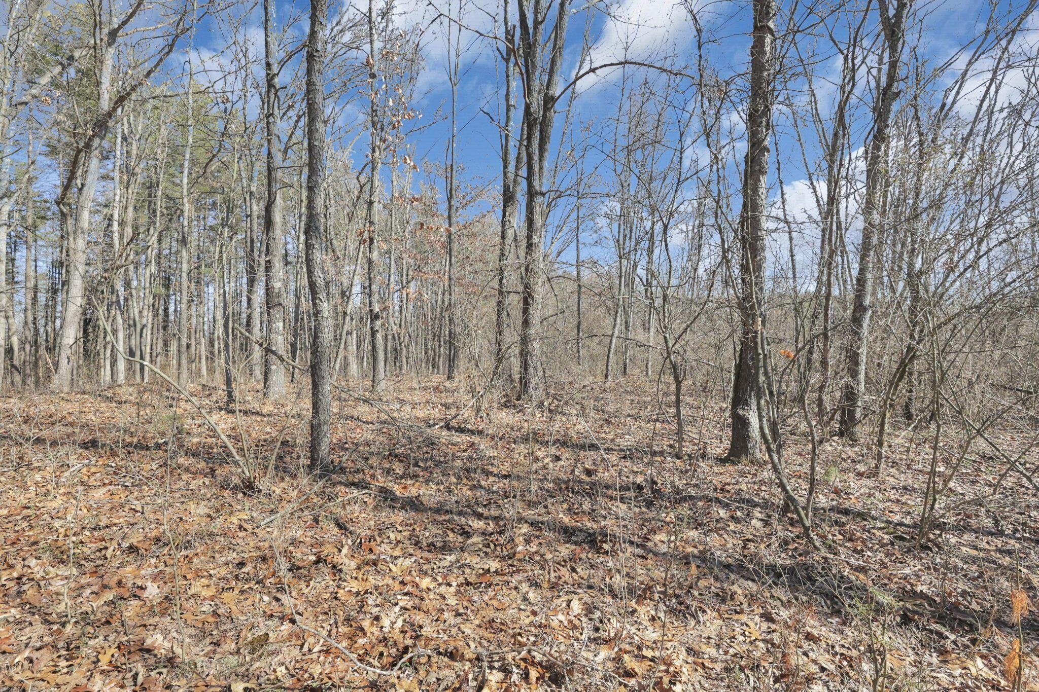 1540 State Route 681 S Property Photo 78