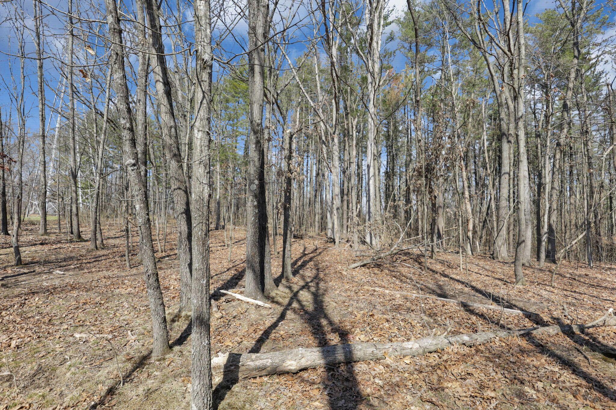 1540 State Route 681 S Property Photo 91