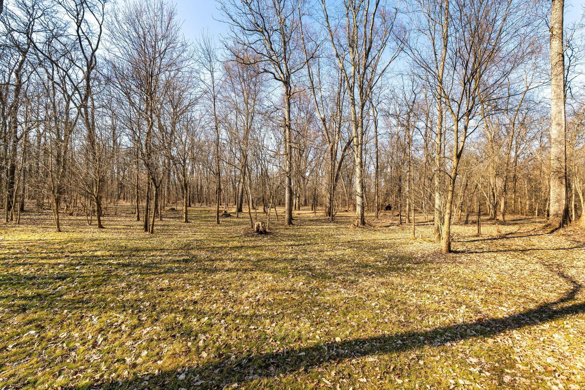 22570 Middleburg Plain City Road Property Photo 75