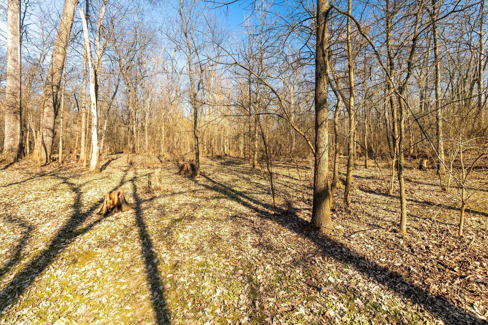 22570 Middleburg Plain City Road Property Photo 76