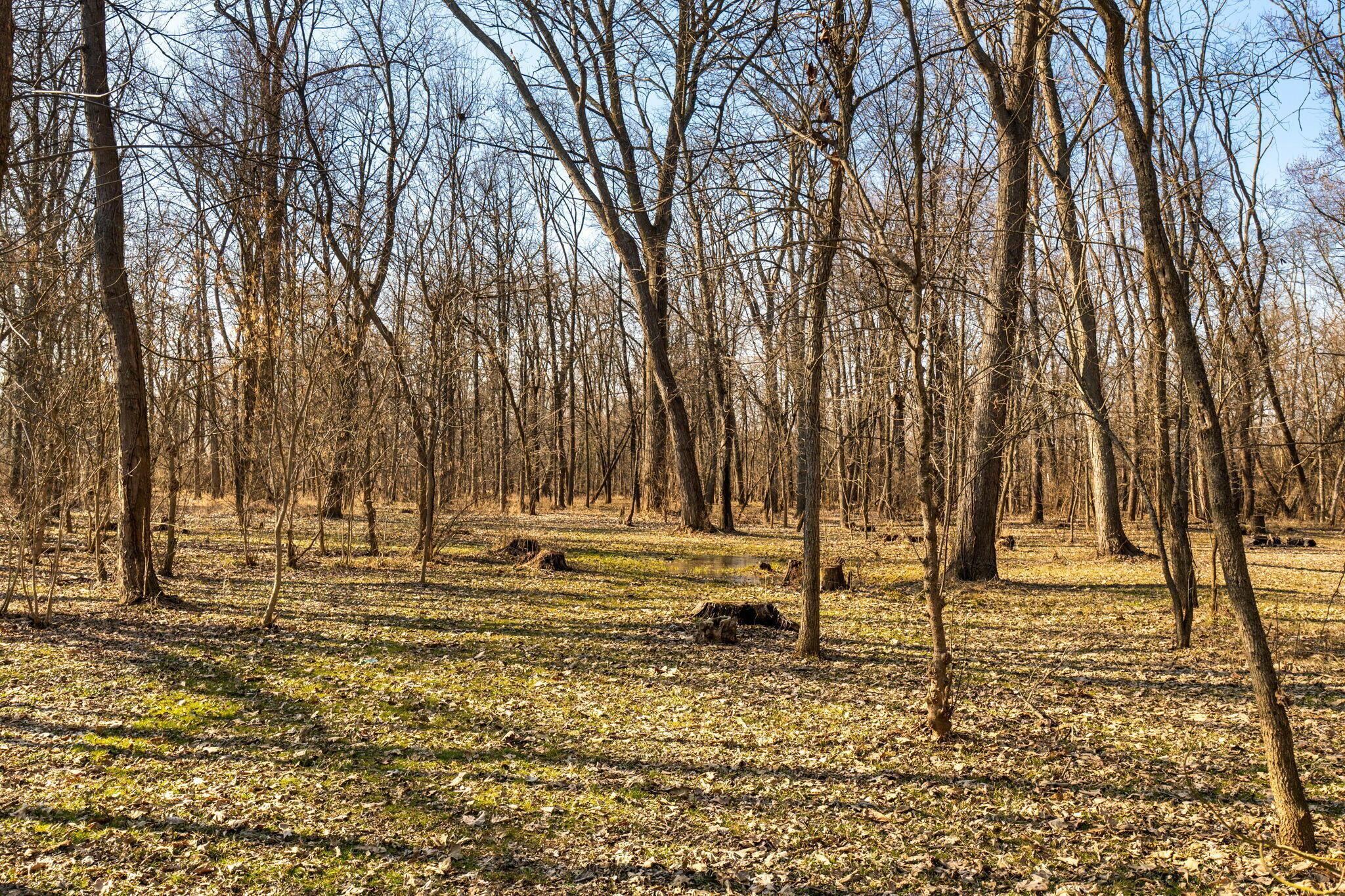 22570 Middleburg Plain City Road Property Photo 77