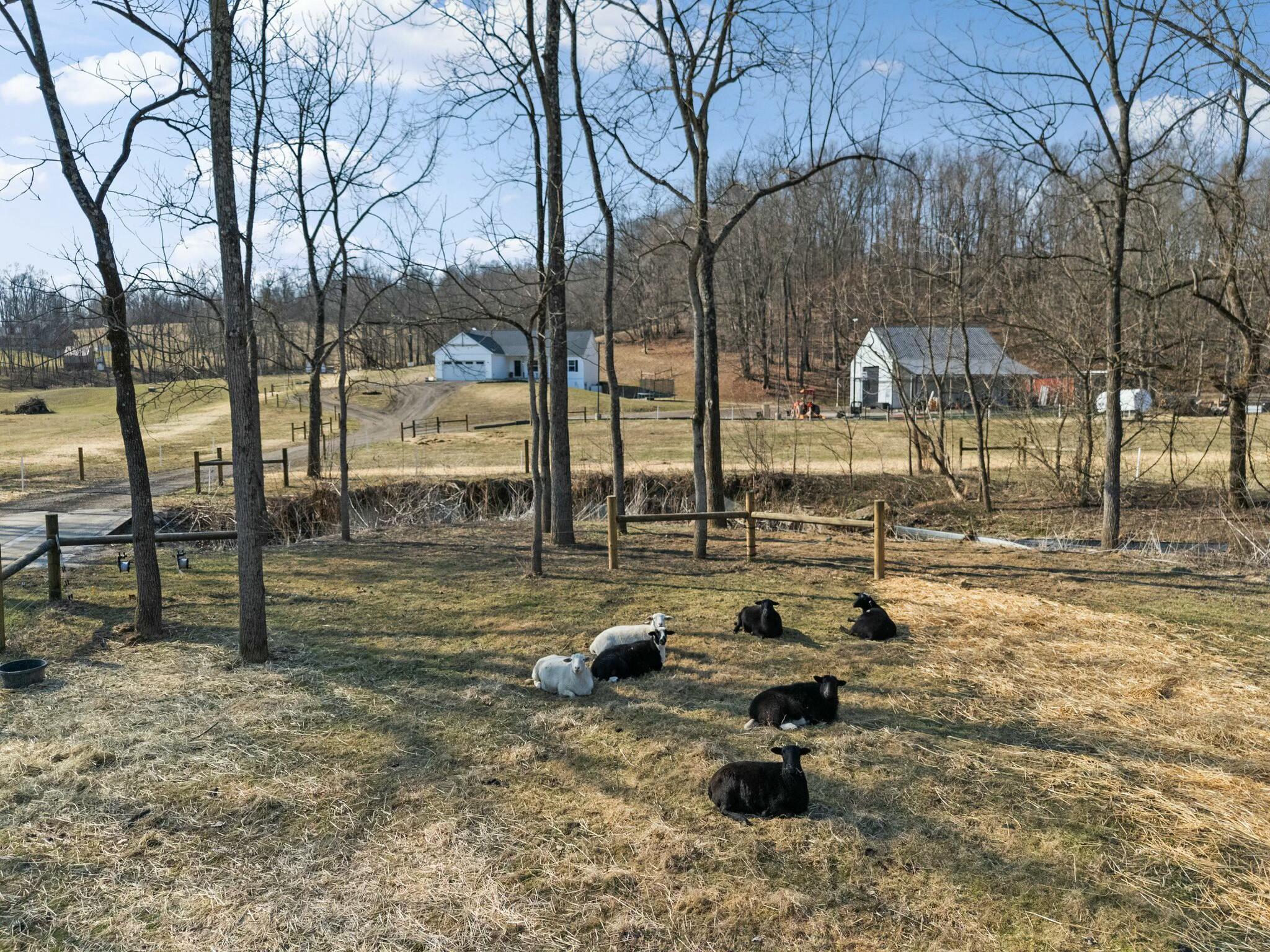 13457 Township Road 65 Property Photo 61