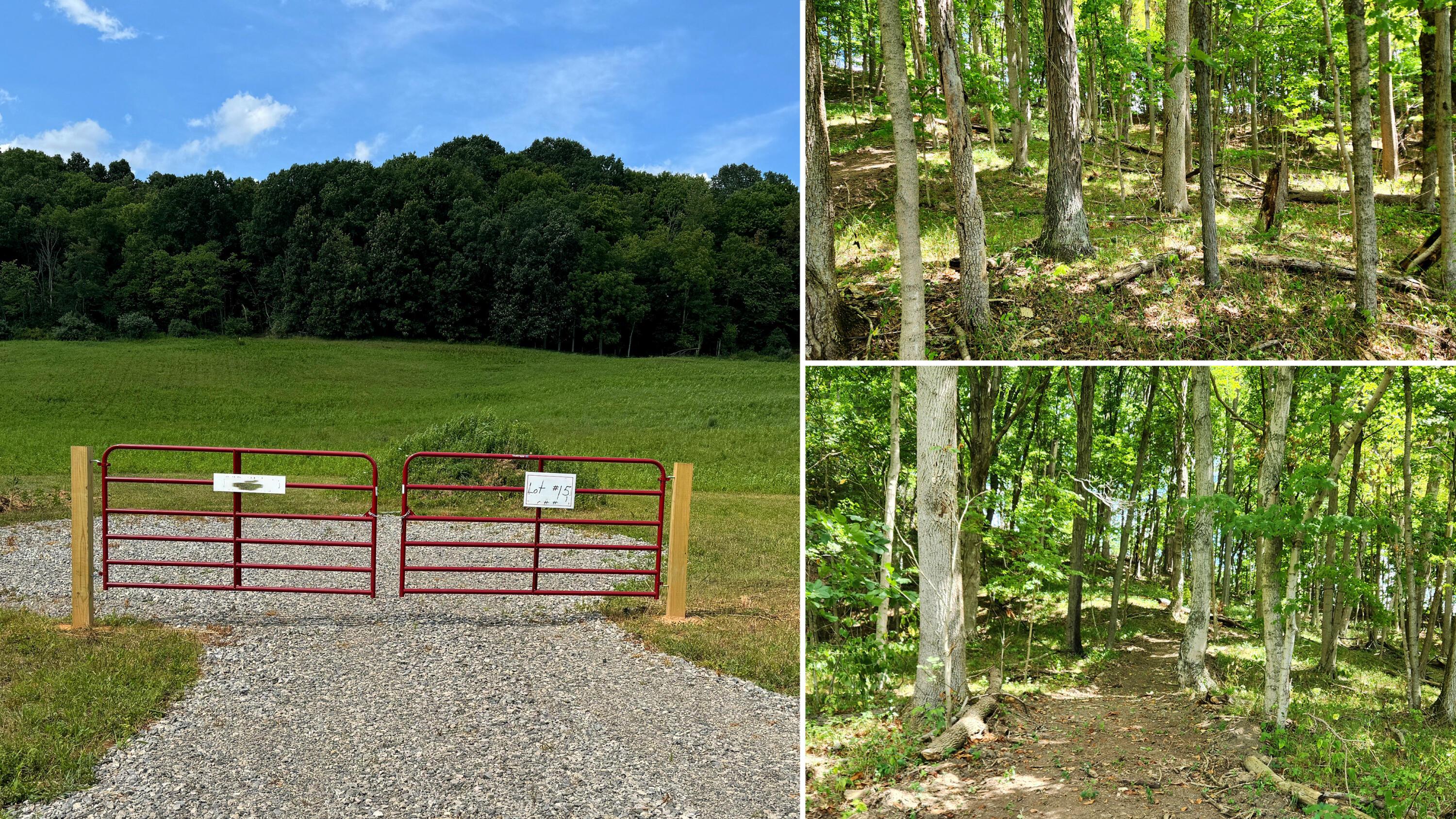 34924 Sr 681, (tract 15 Albany Woods) Property Photo