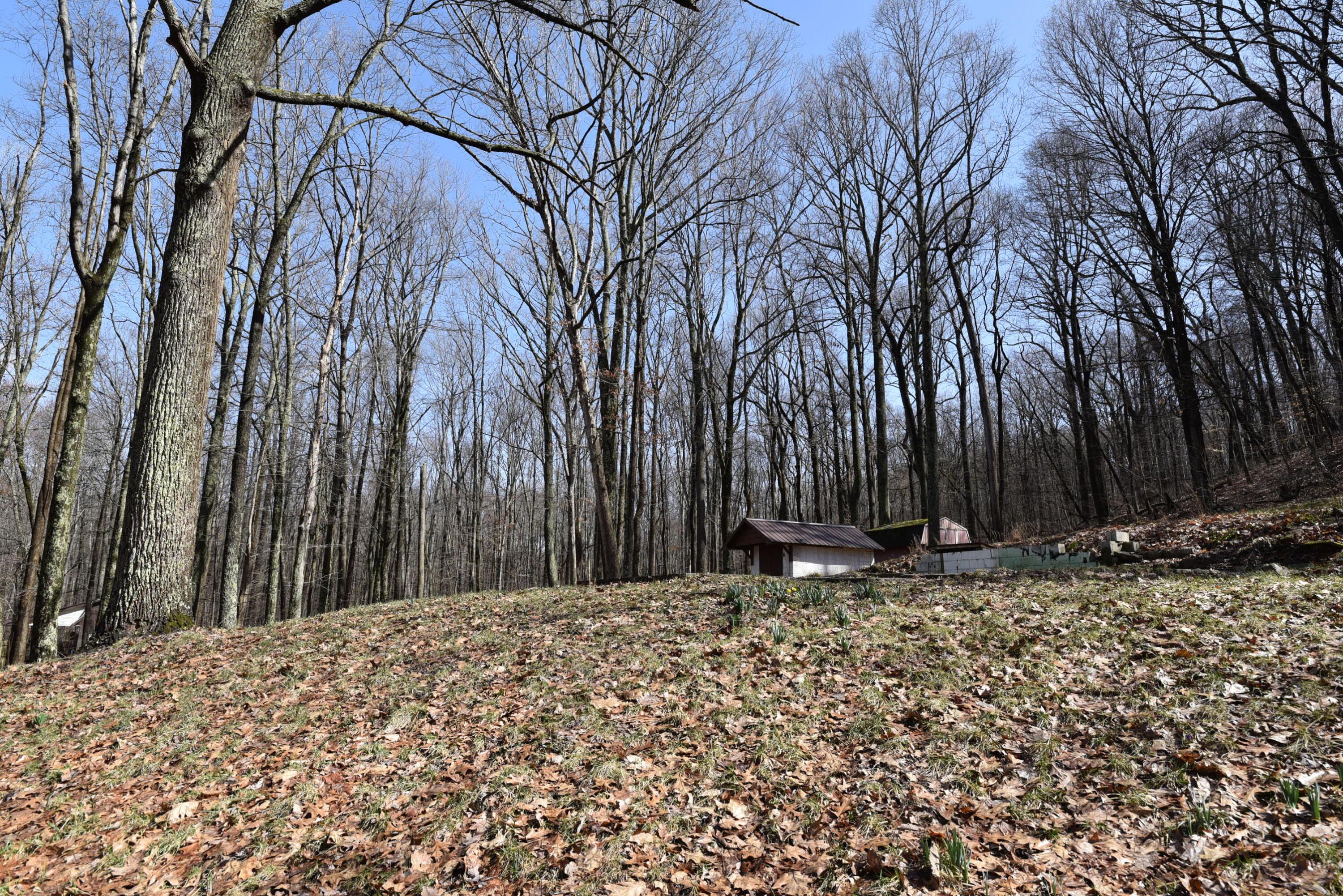 14212 Long Run Road Property Photo 8