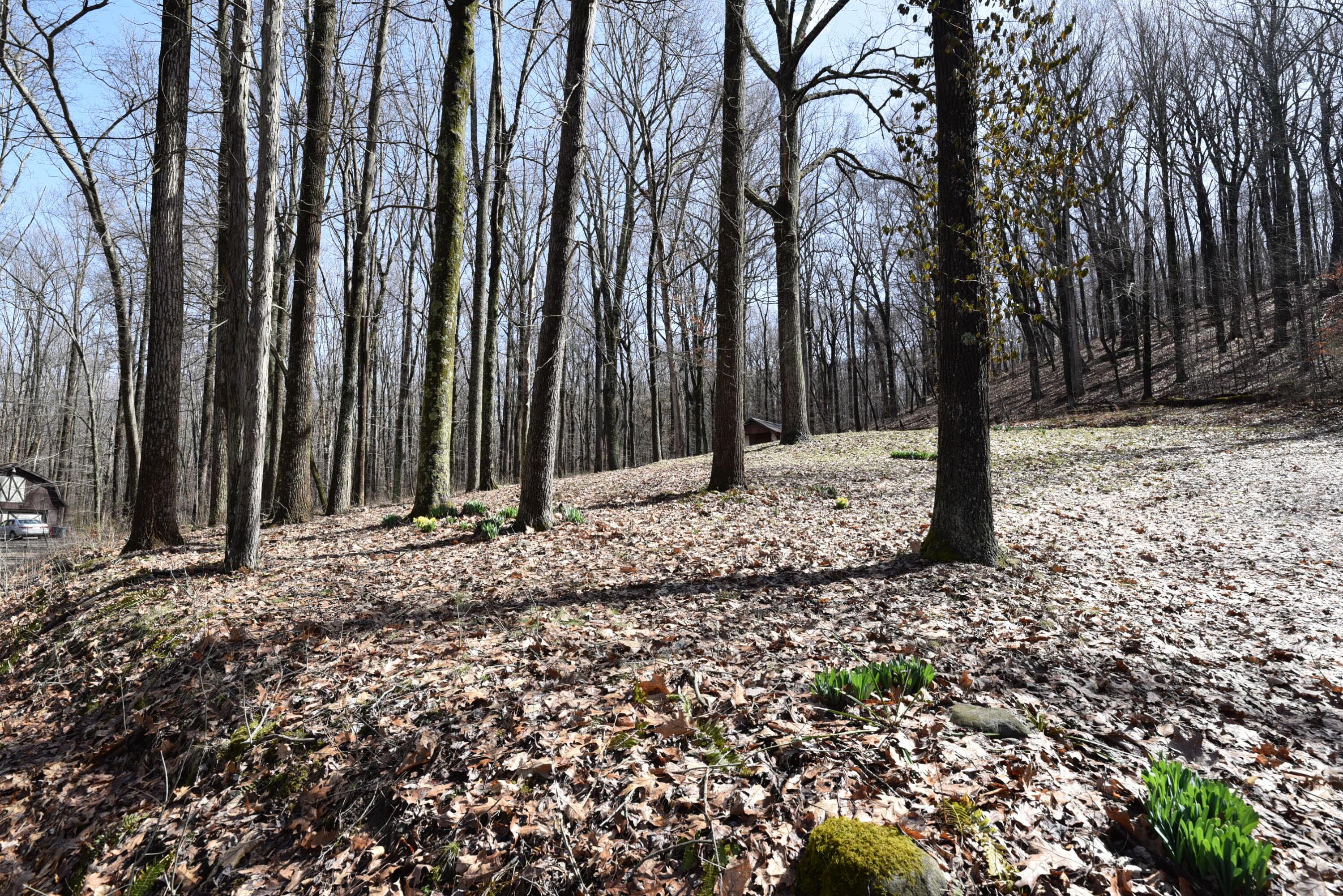 14212 Long Run Road Property Photo 9