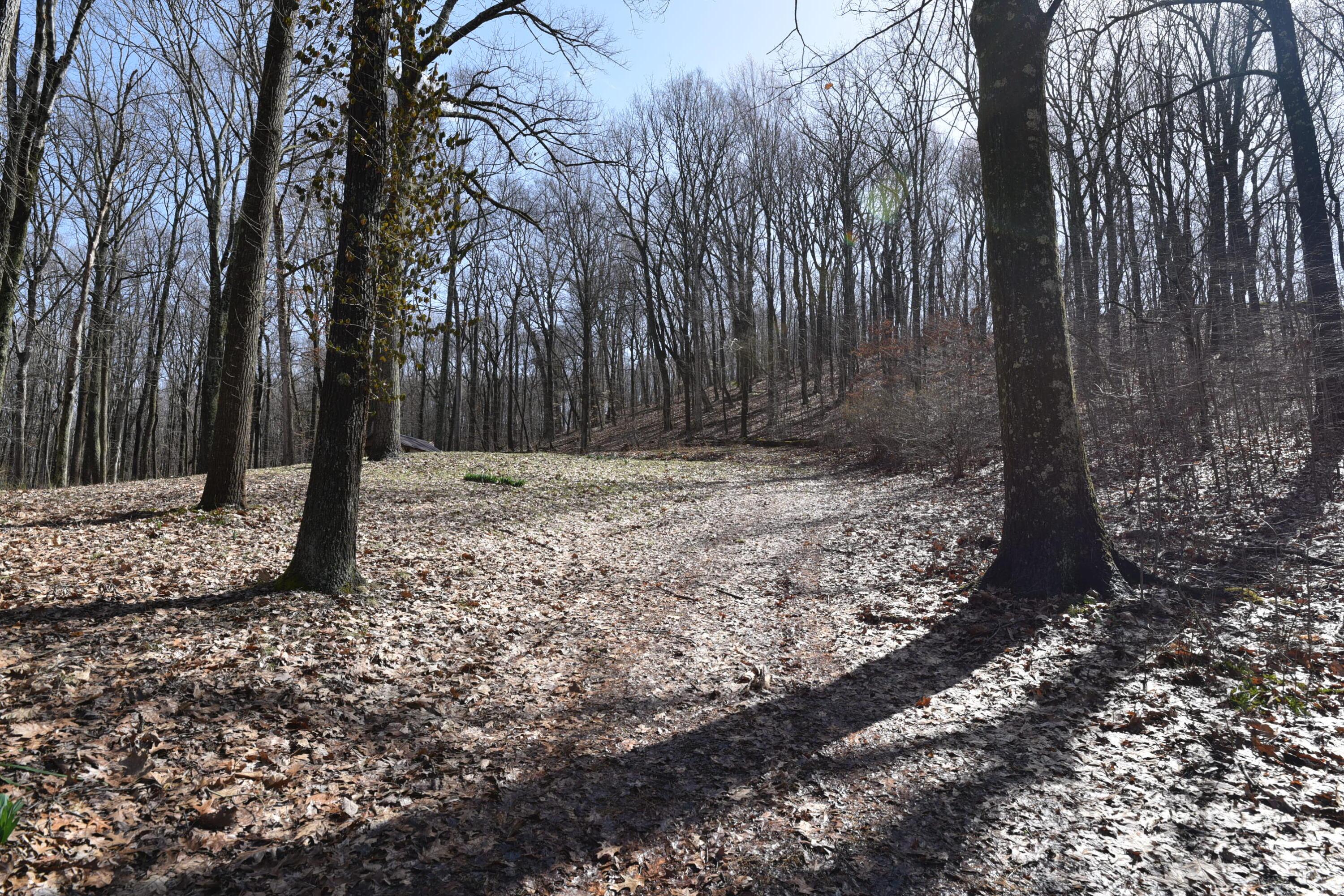 14212 Long Run Road Property Photo 11