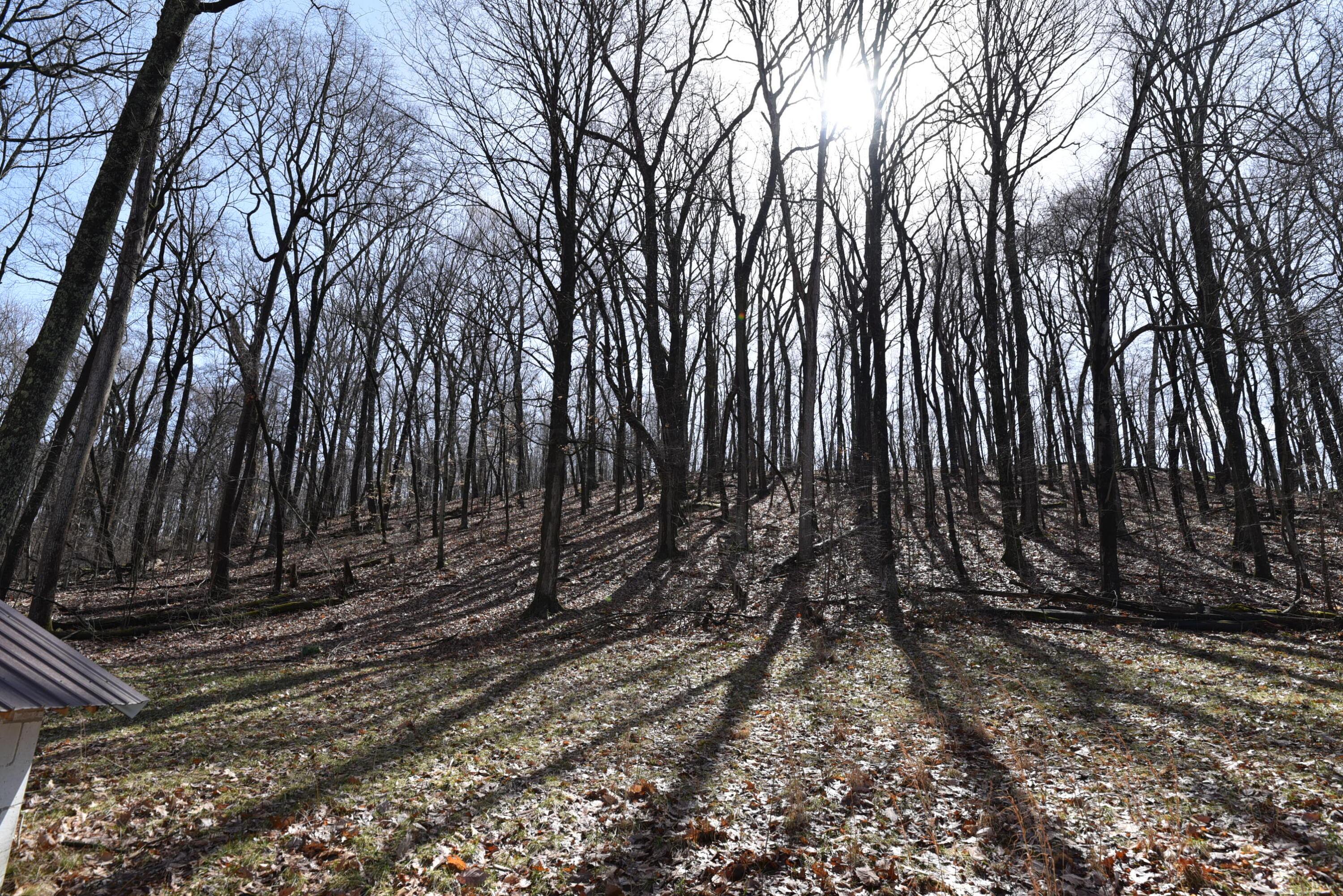 14212 Long Run Road Property Photo 12