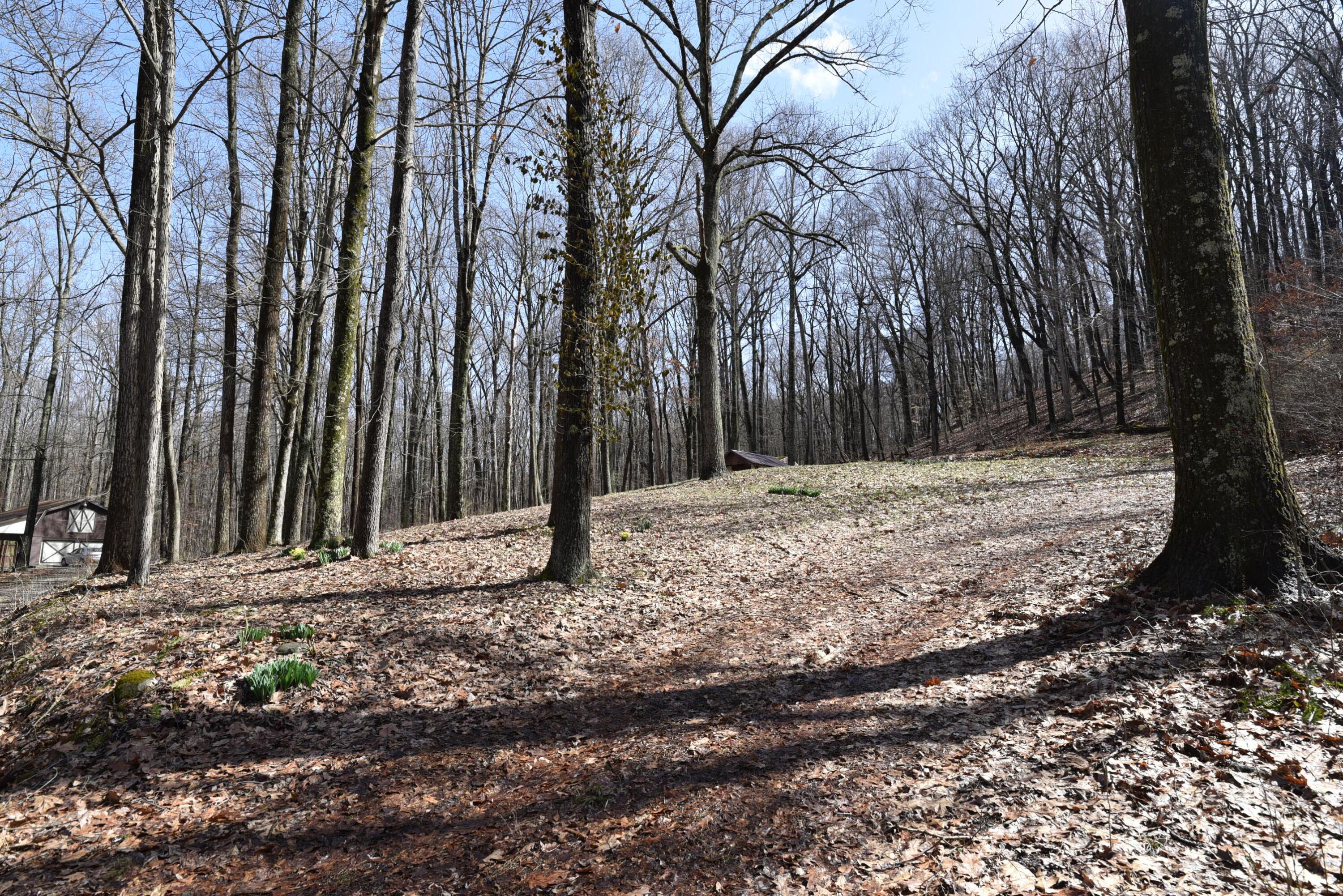 14212 Long Run Road Property Photo 17