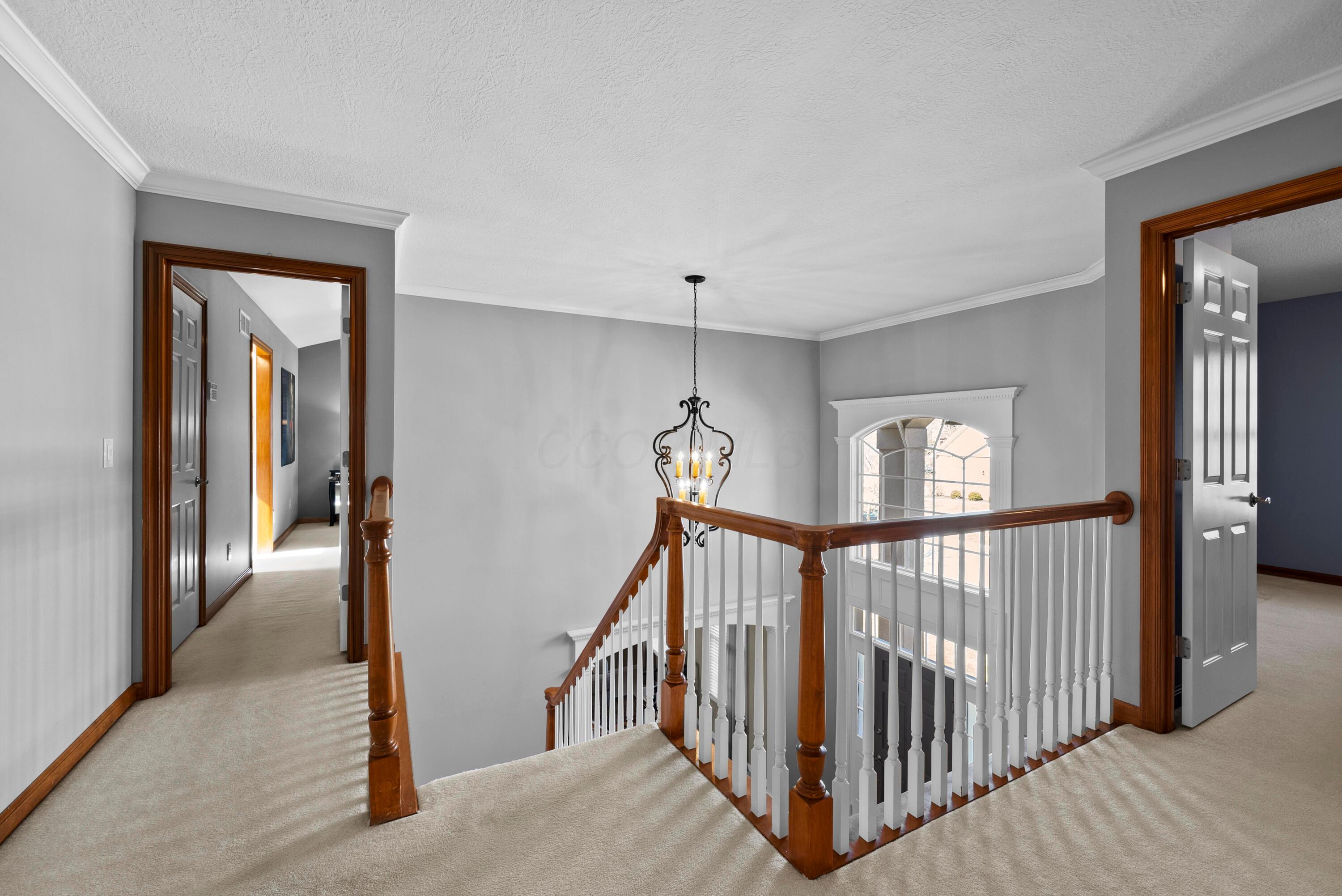 4845 Carrigan Ridge Drive Property Photo 23