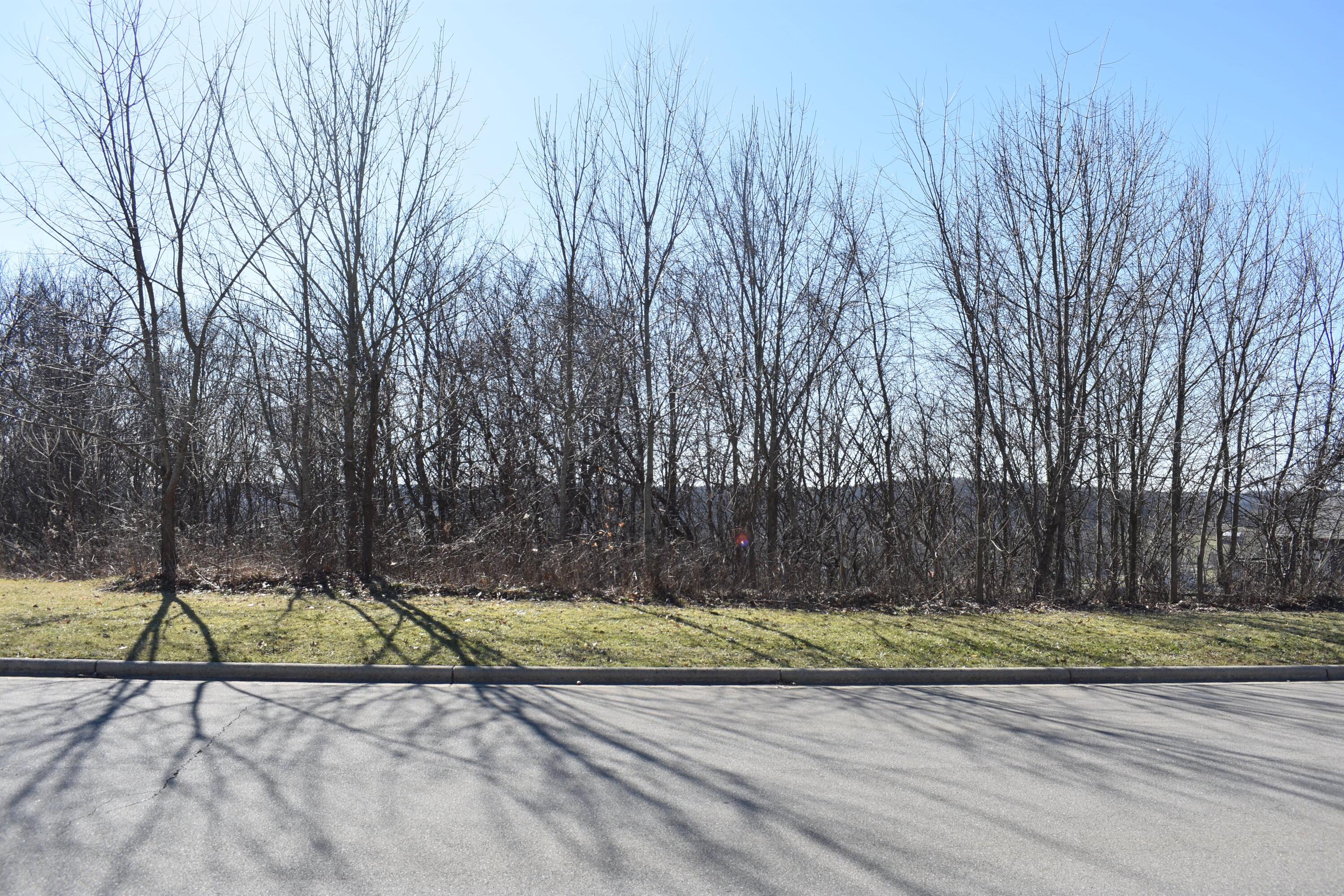 0 Hamilton Drive Property Photo