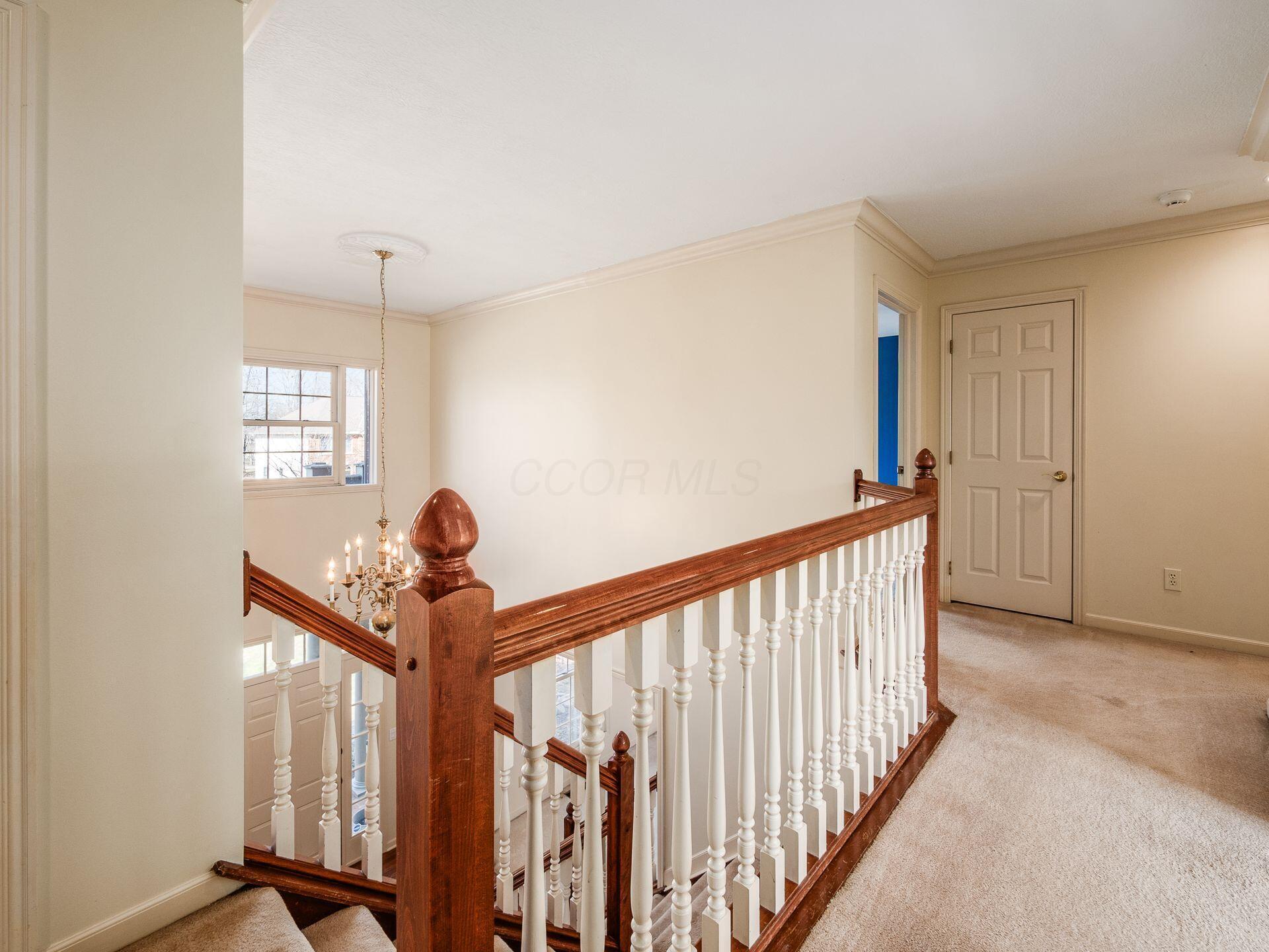 1353 Harrison Pond Drive Property Photo 54