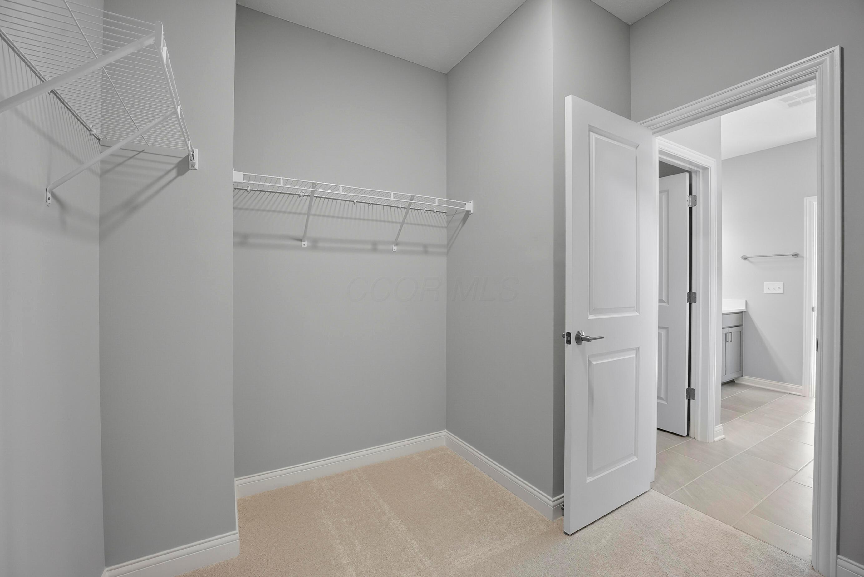 4512 Nonius Drive Property Photo 19