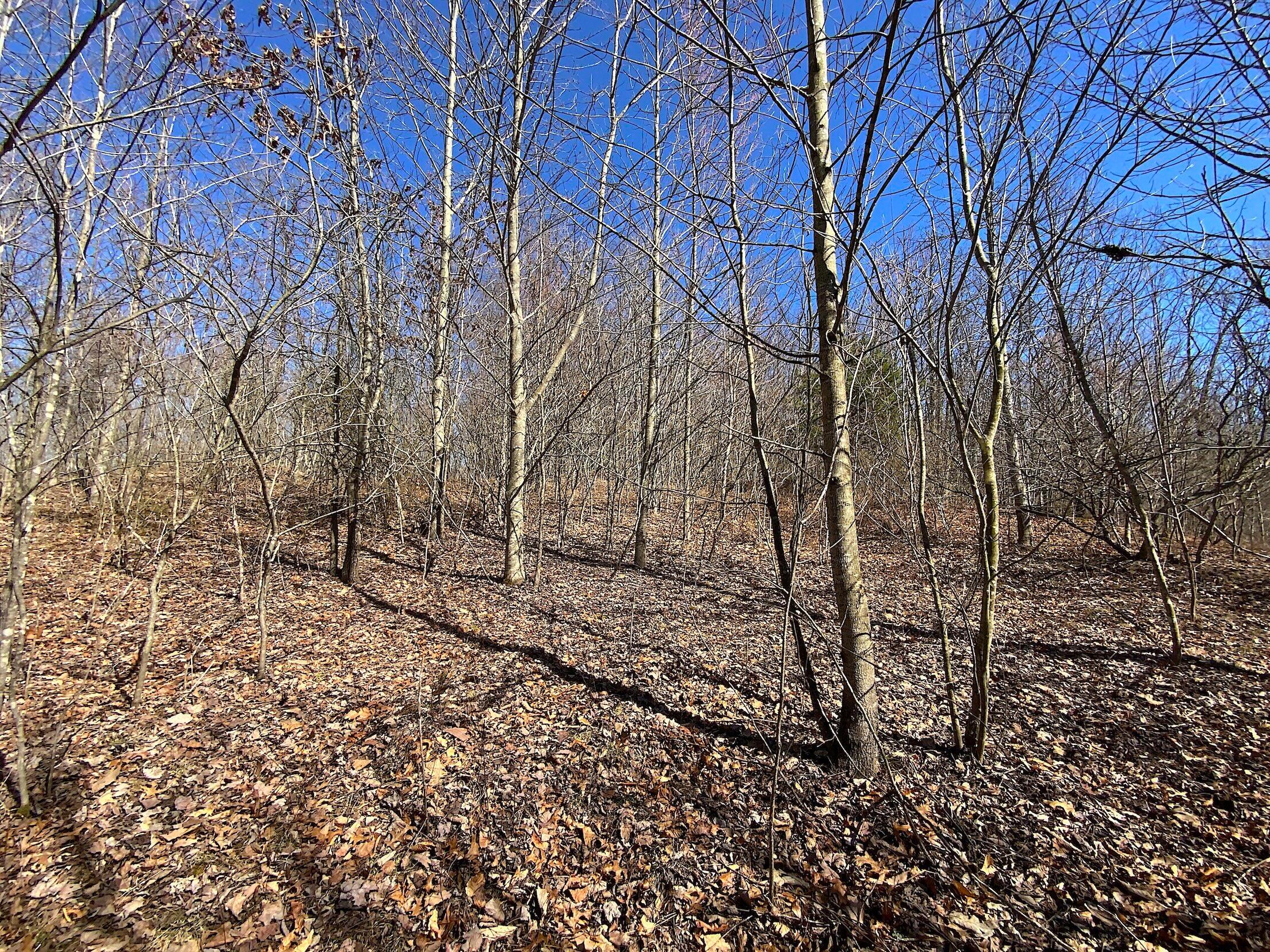 0 Kelly Road Property Photo 2