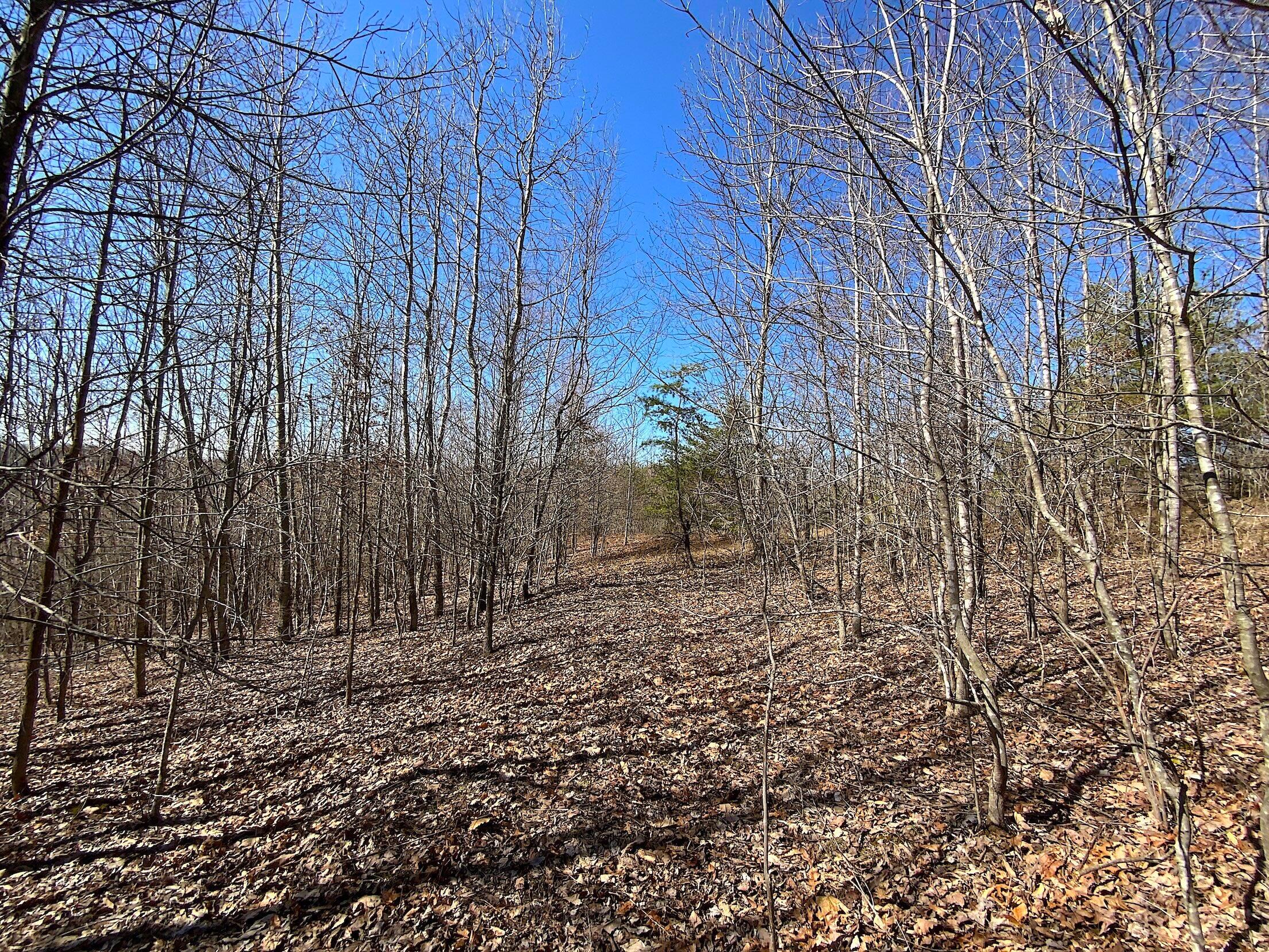 0 Kelly Road Property Photo 3