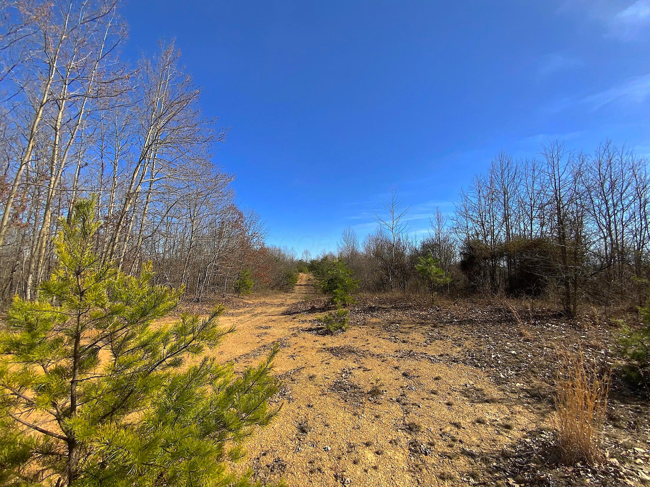 0 Kelly Road Property Photo 16