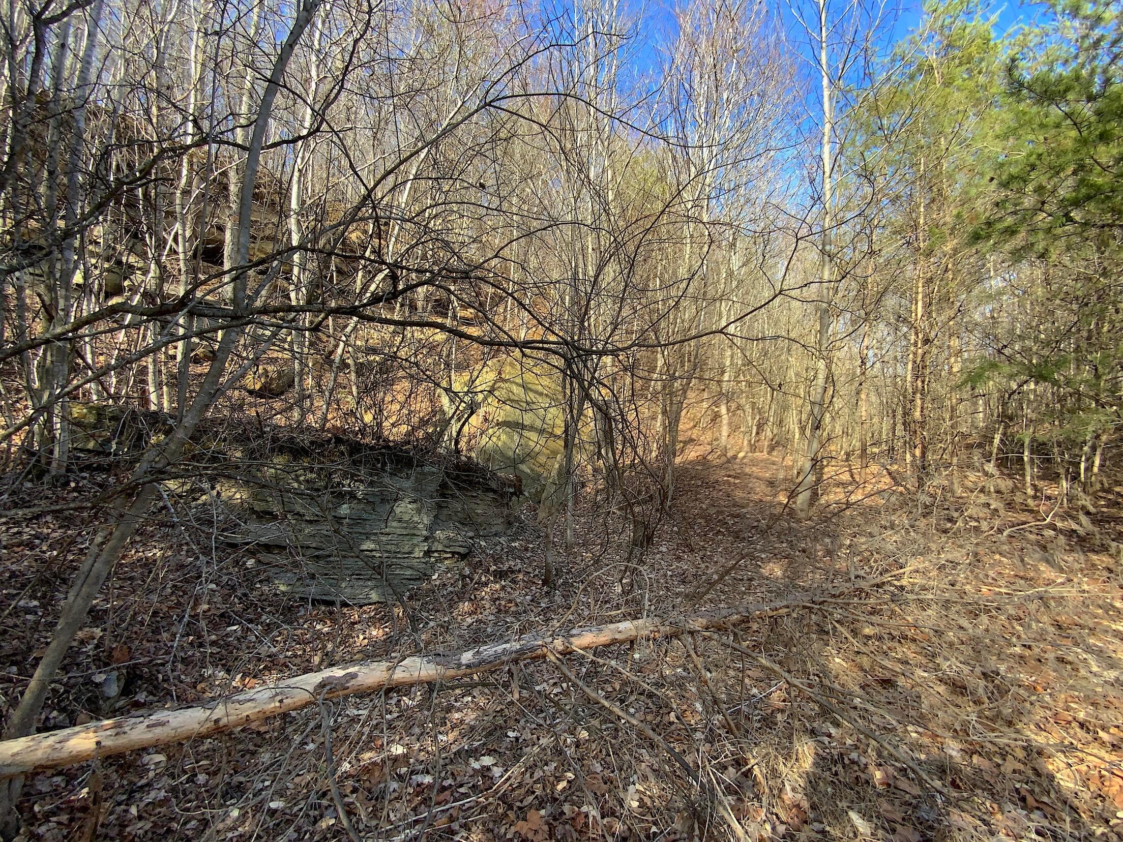 0 Kelly Road Property Photo 33