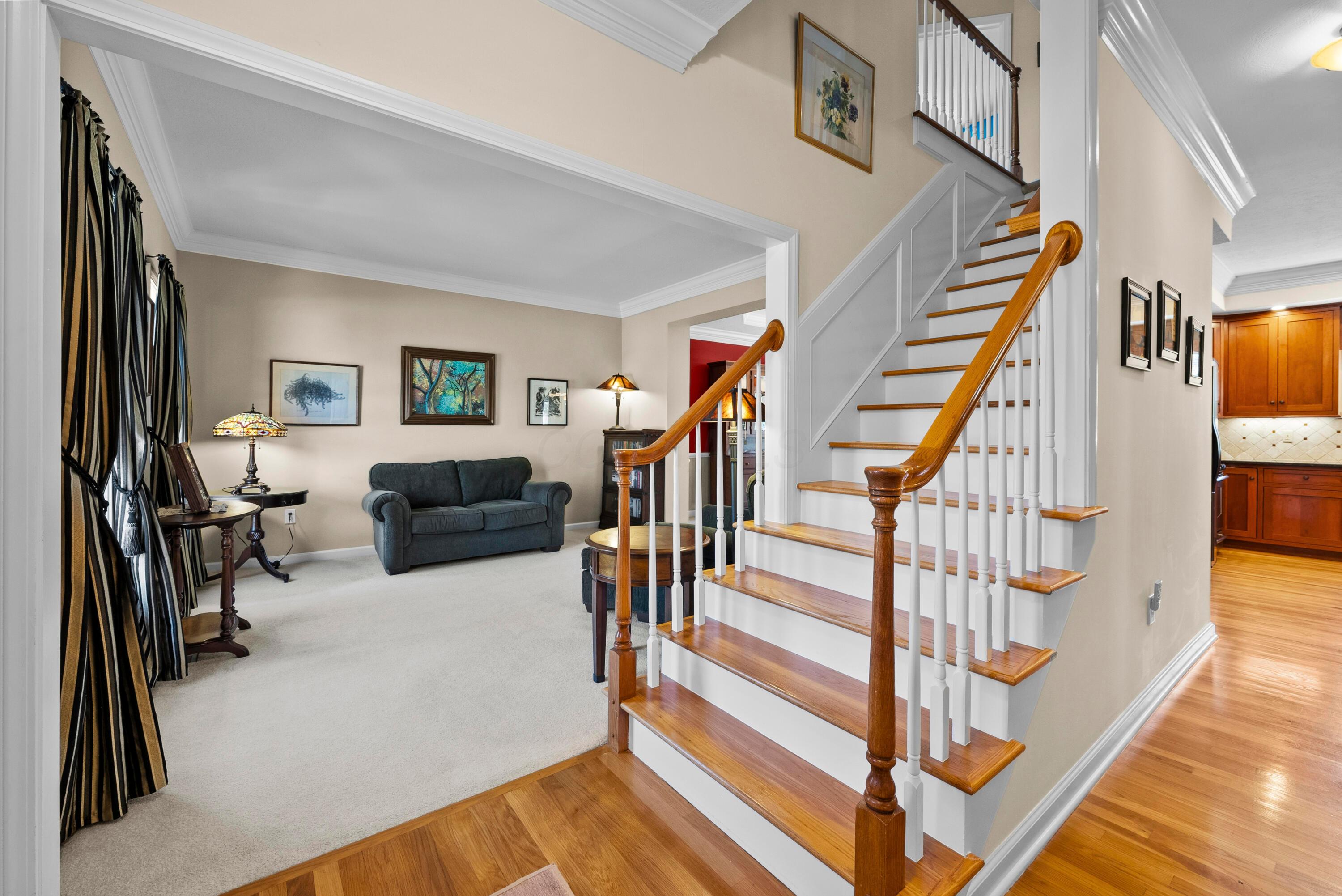 9377 Traceyton Drive Property Photo 3