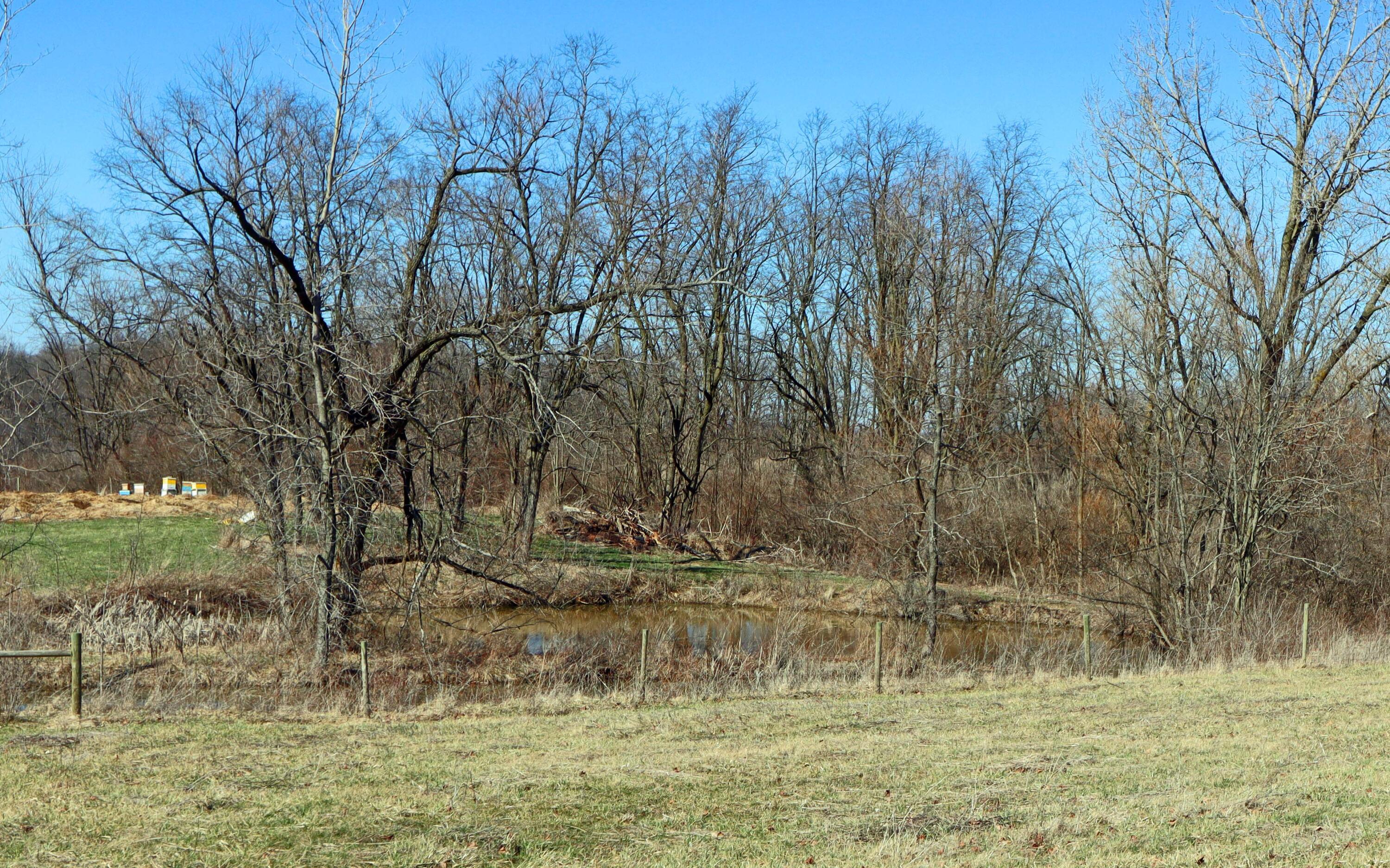 6362 State Route 245 Property Photo 51