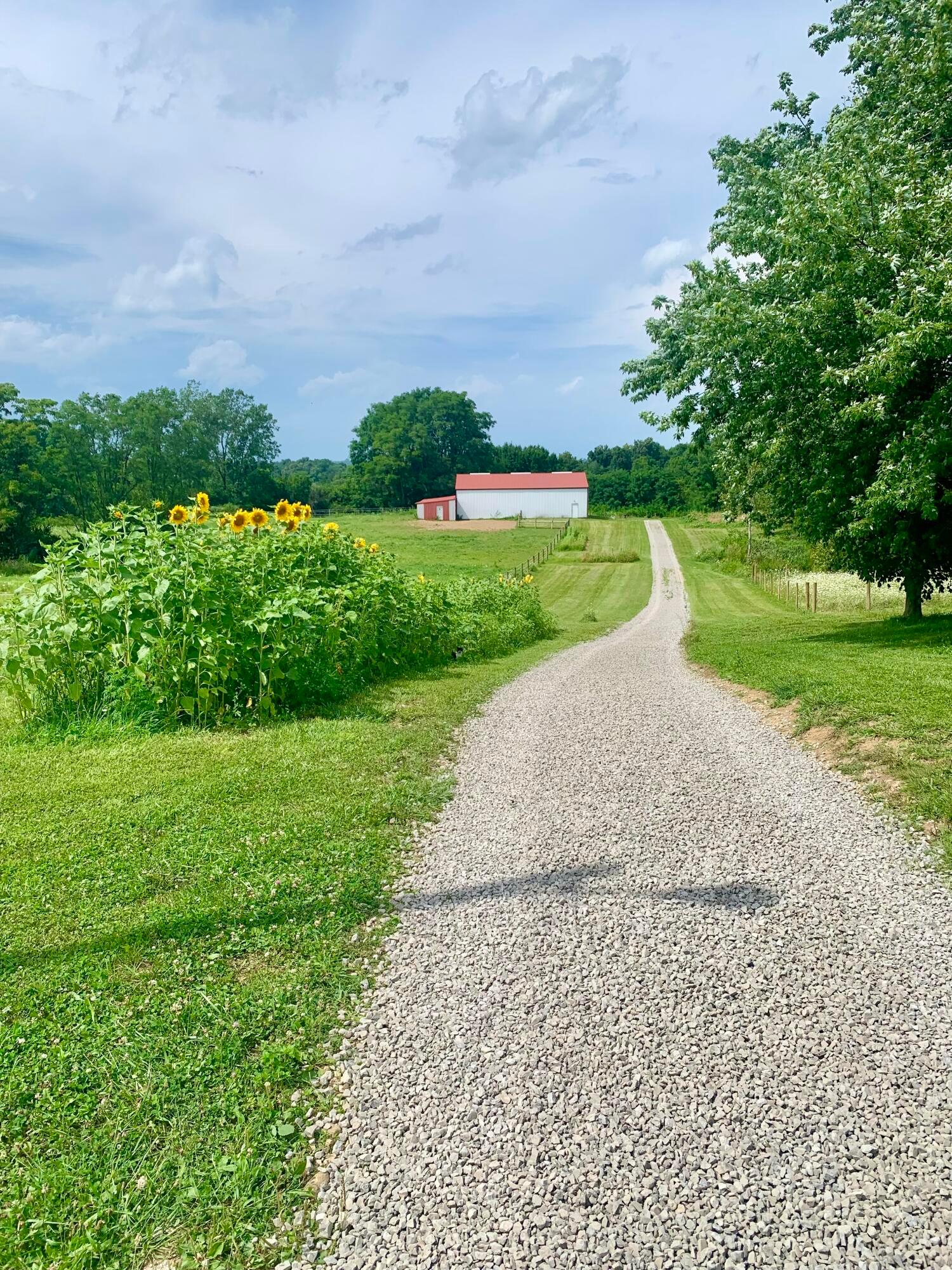 6362 State Route 245 Property Photo 61