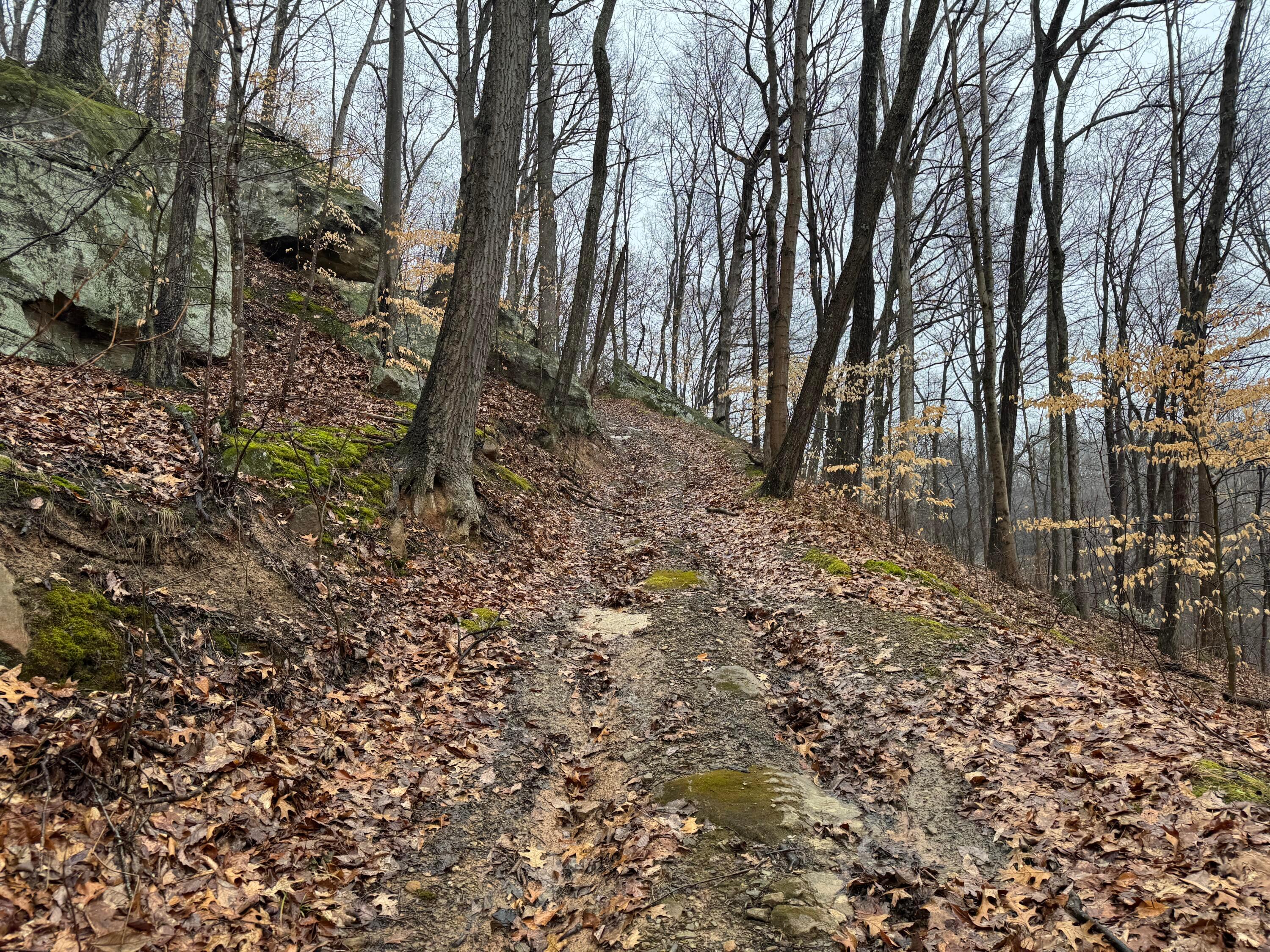 32290 Bailey Run Road Property Photo 2