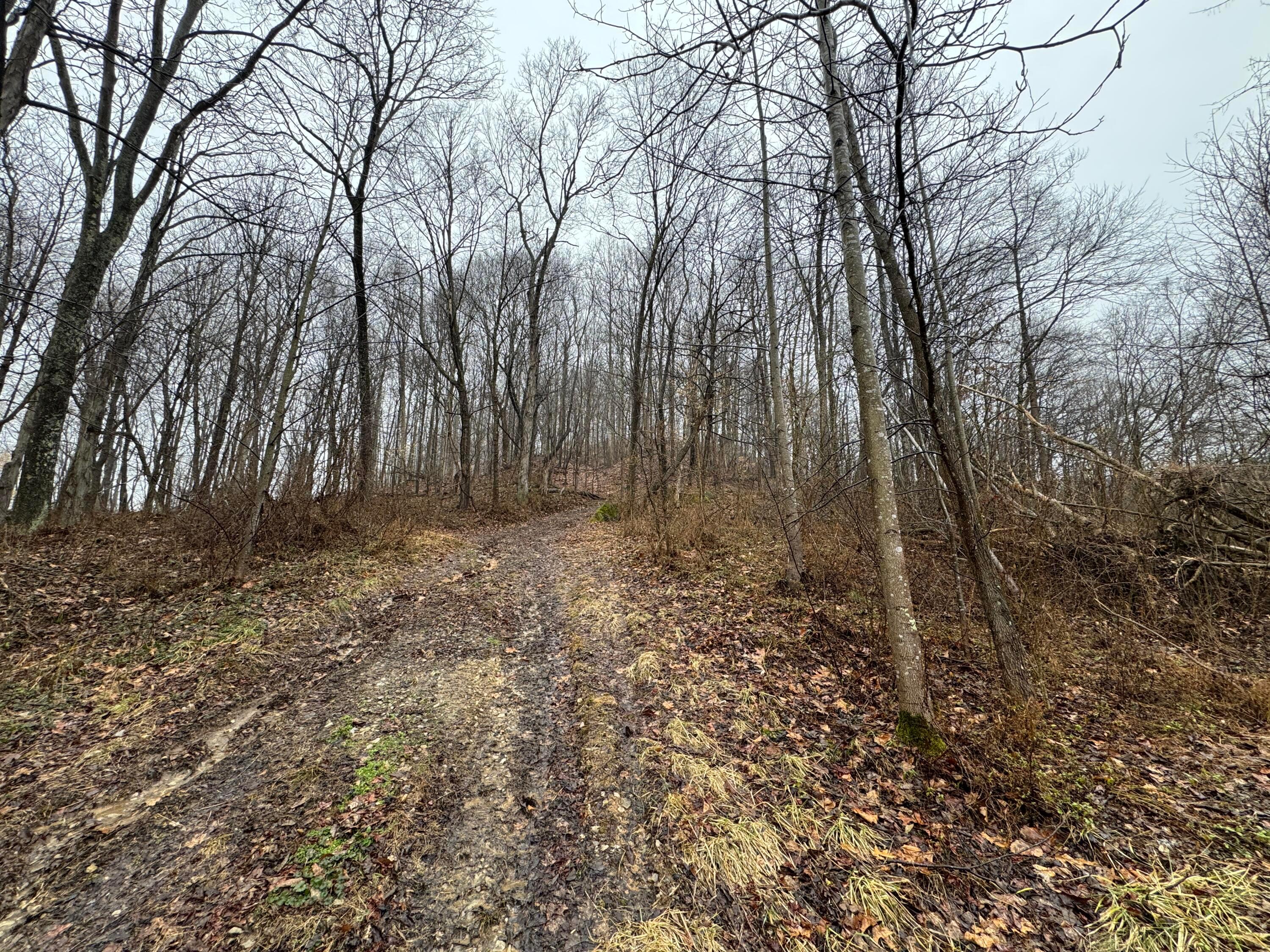 32290 Bailey Run Road Property Photo 7
