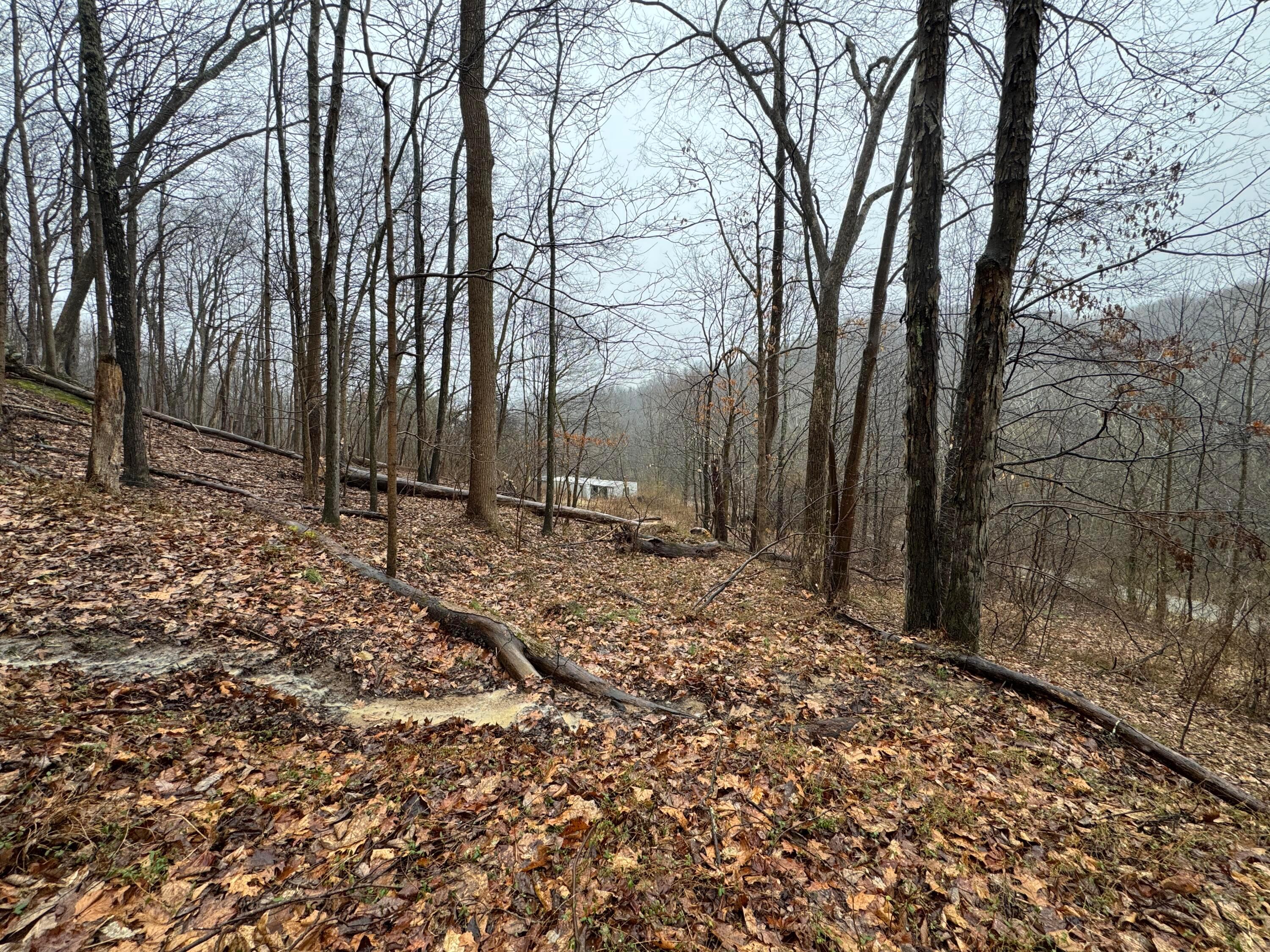 32290 Bailey Run Road Property Photo 8