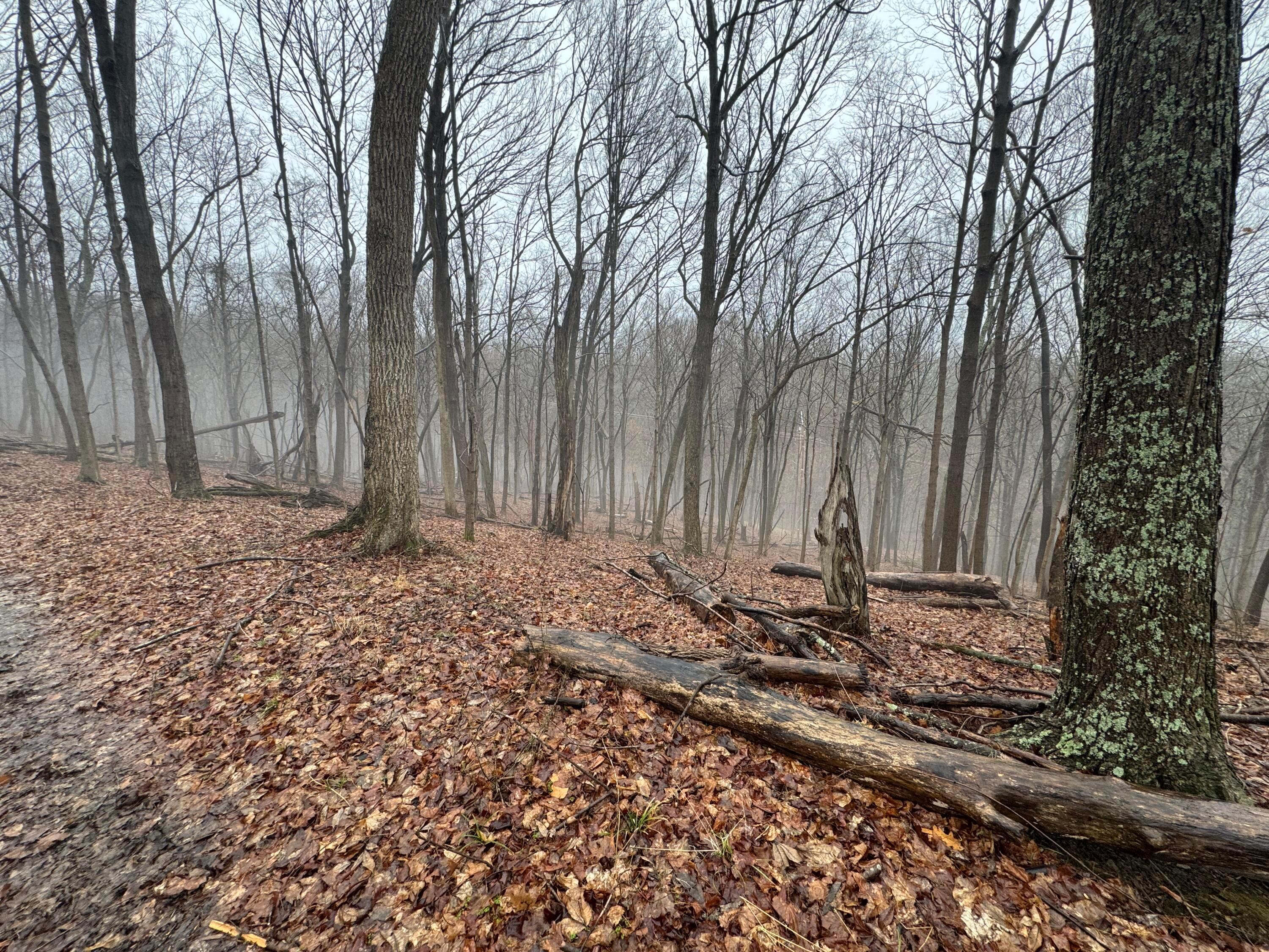 32290 Bailey Run Road Property Photo 9