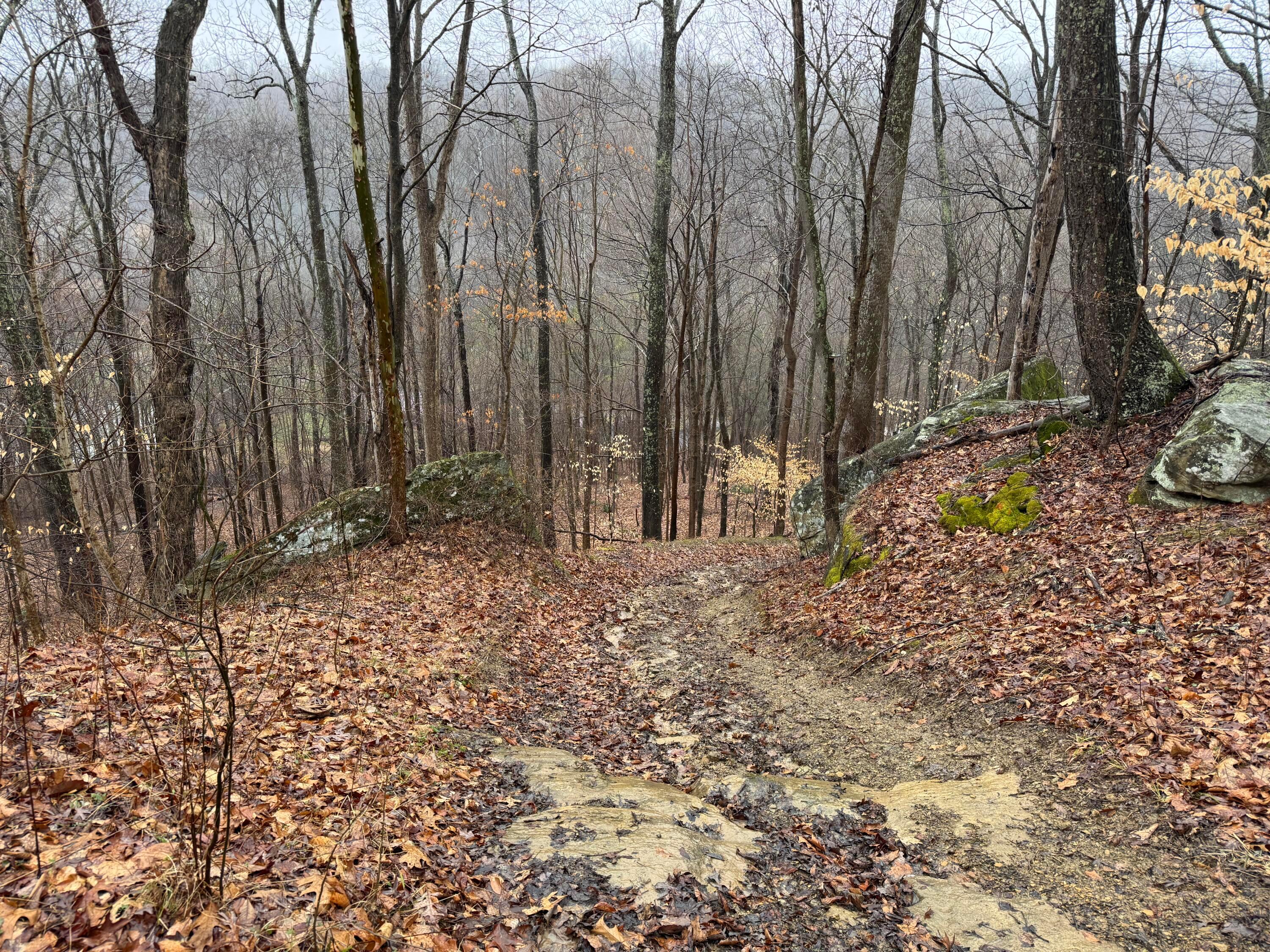 32290 Bailey Run Road Property Photo 10