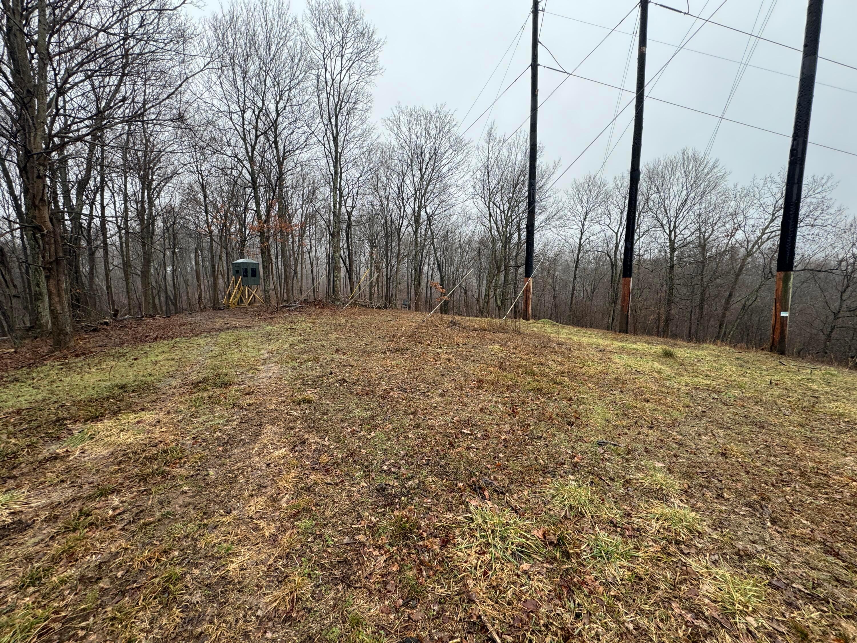32290 Bailey Run Road Property Photo 17