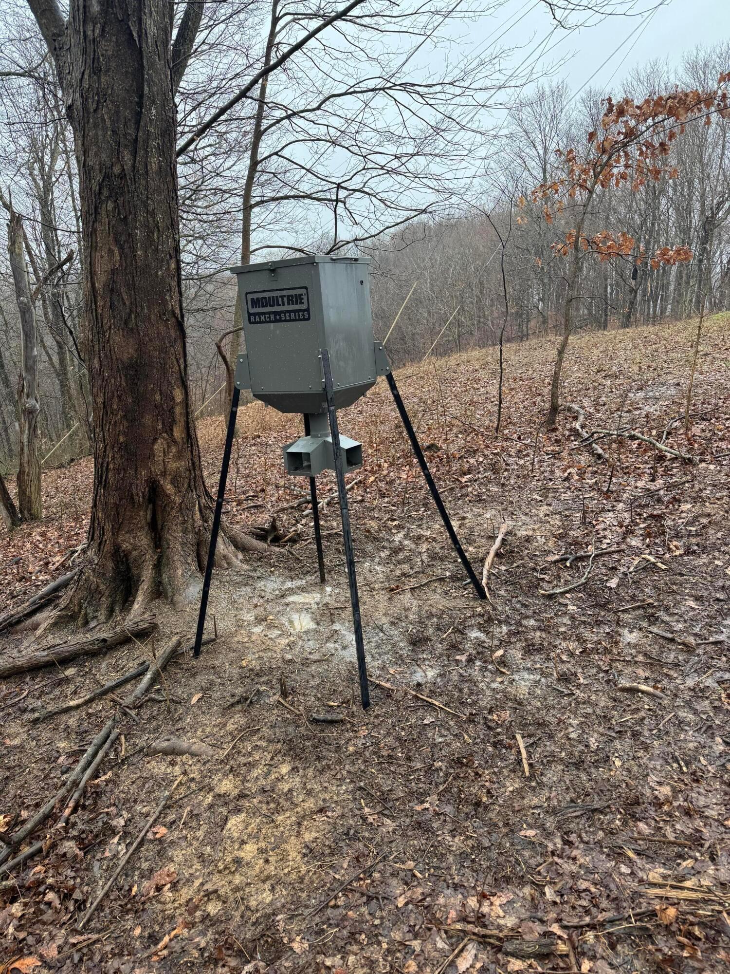 32290 Bailey Run Road Property Photo 18