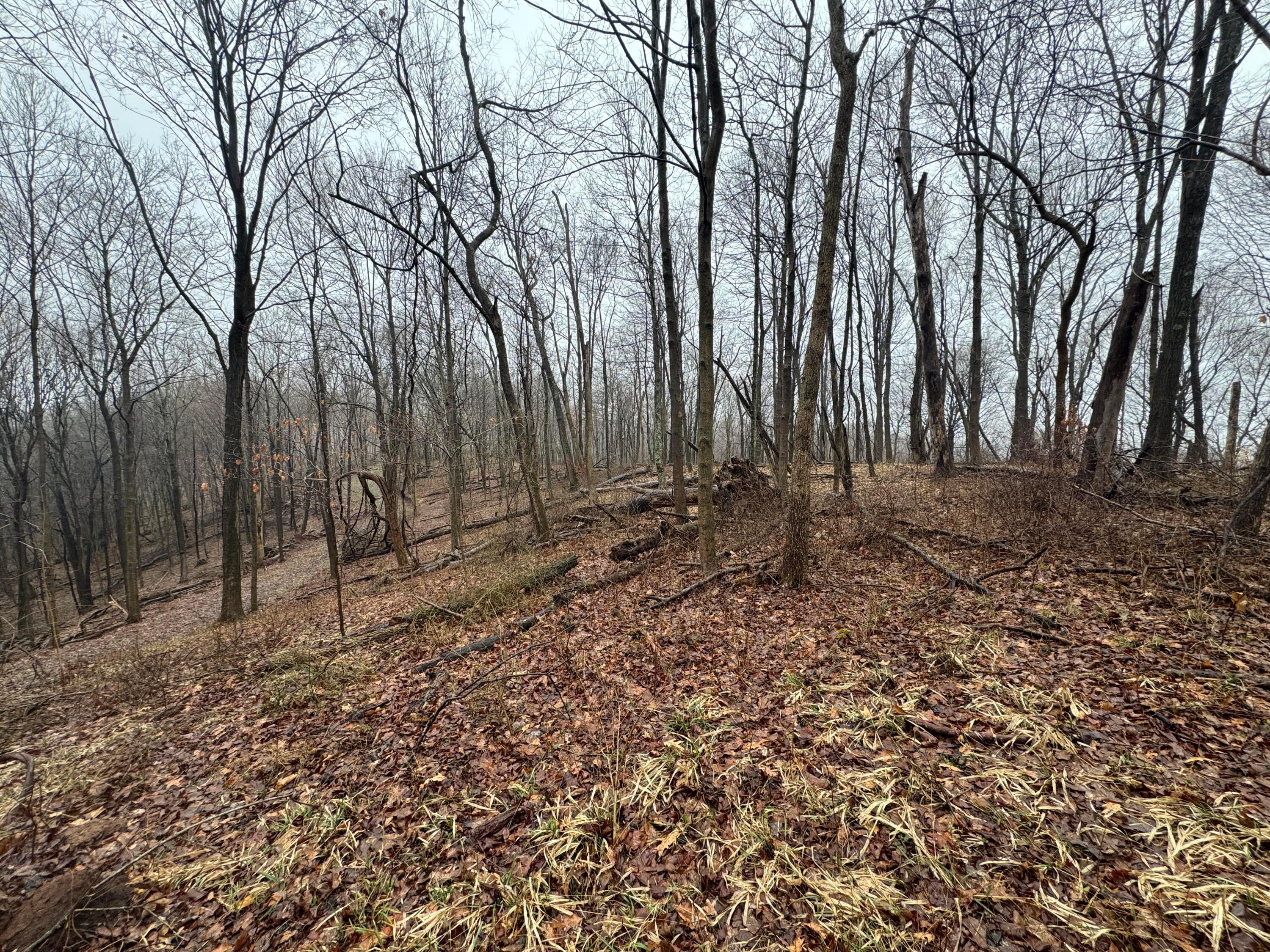 32290 Bailey Run Road Property Photo 19