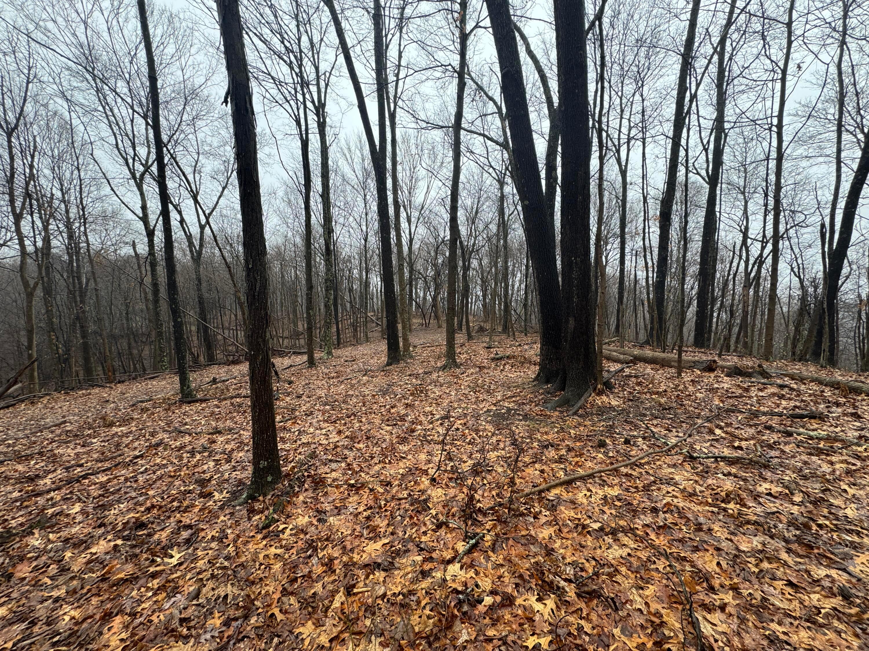 32290 Bailey Run Road Property Photo 20