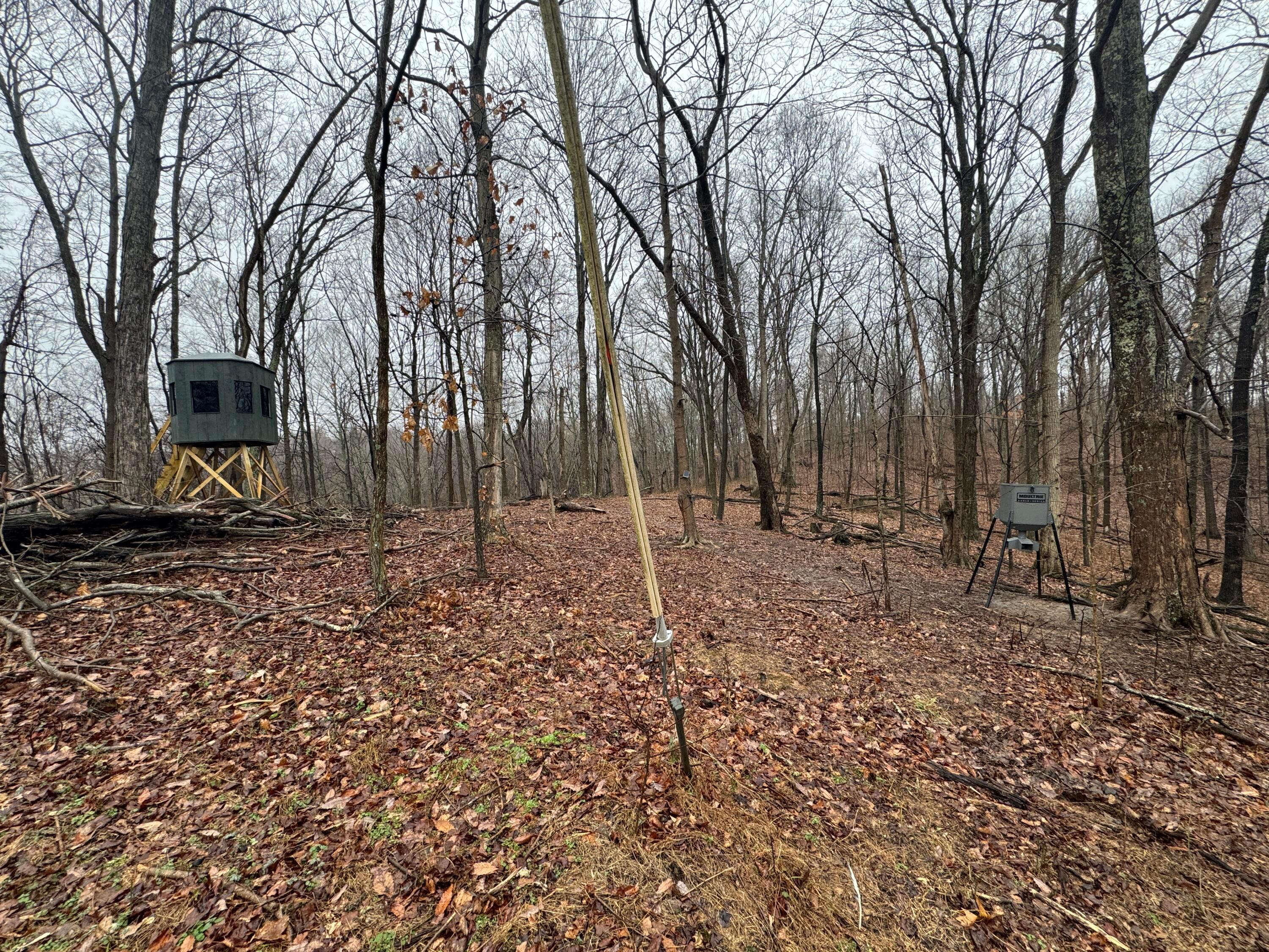 32290 Bailey Run Road Property Photo 21