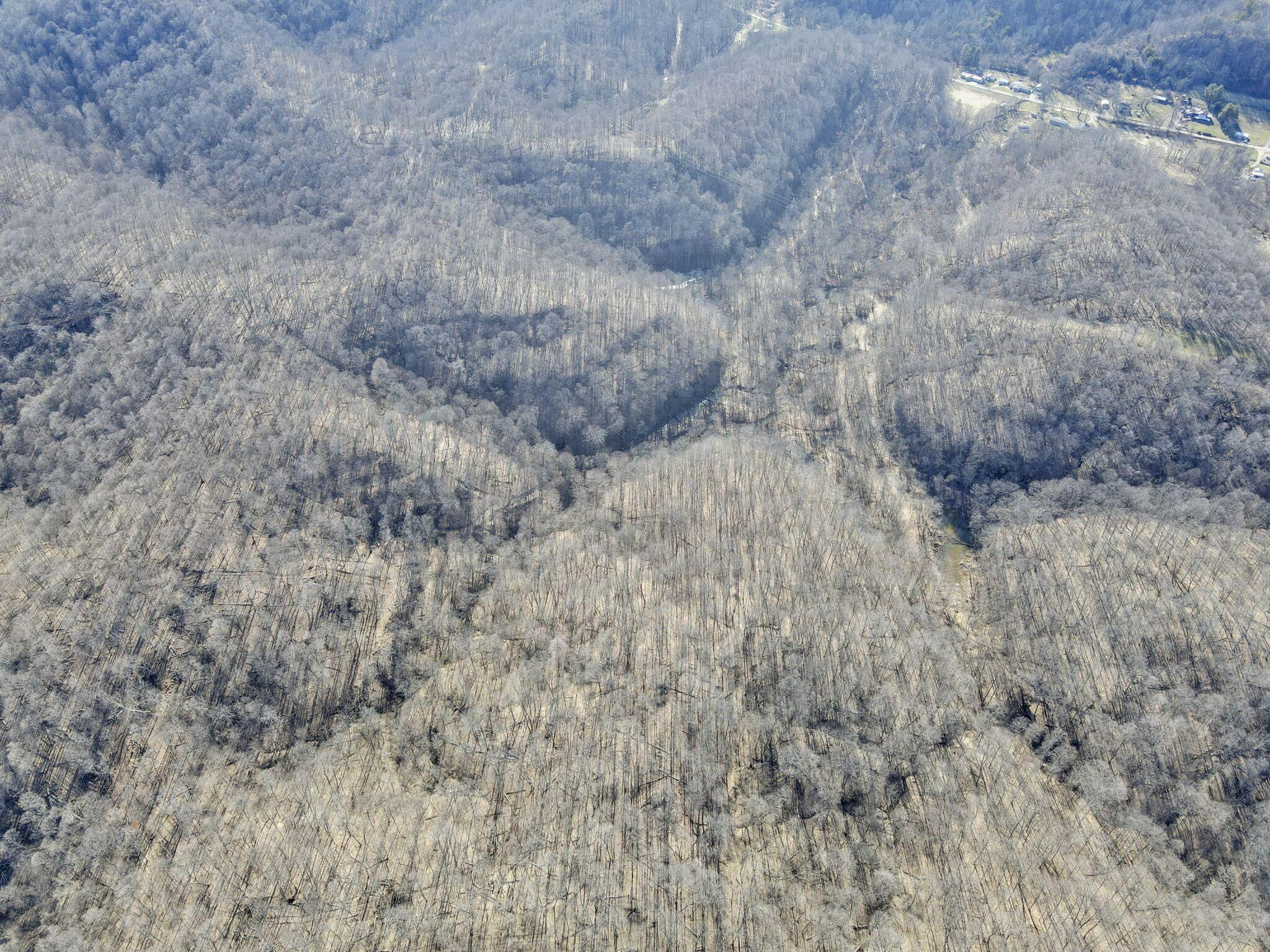 32290 Bailey Run Road Property Photo 25
