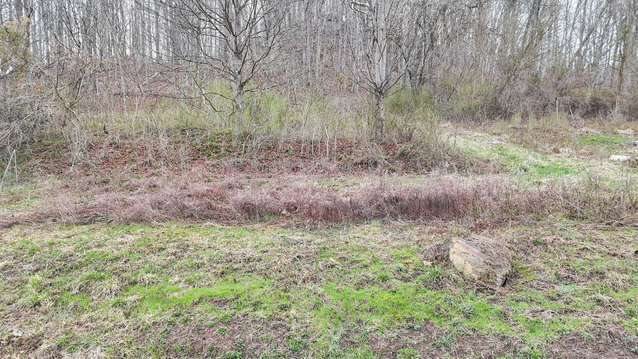 32290 Bailey Run Road Property Photo 29