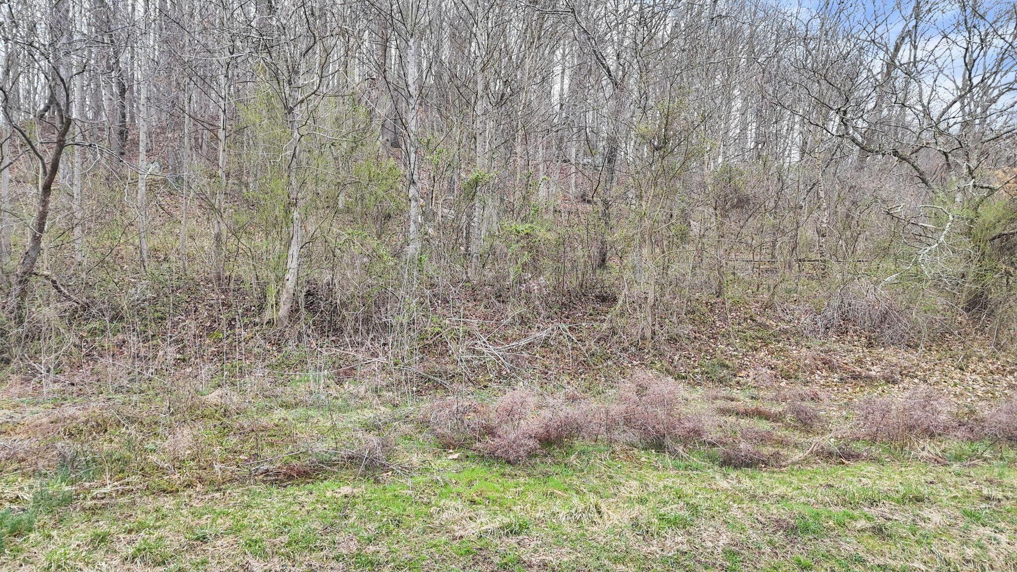 32290 Bailey Run Road Property Photo 30