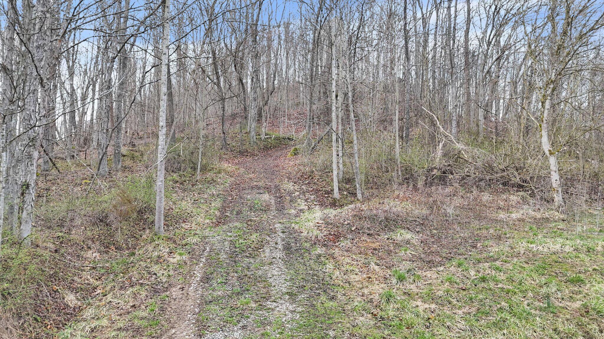 32290 Bailey Run Road Property Photo 31