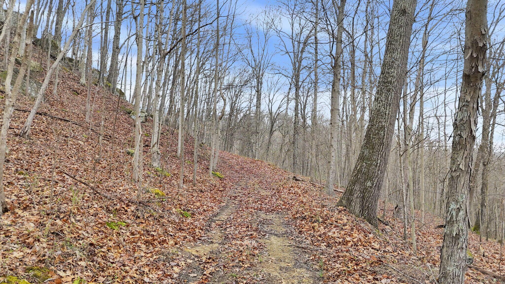 32290 Bailey Run Road Property Photo 33