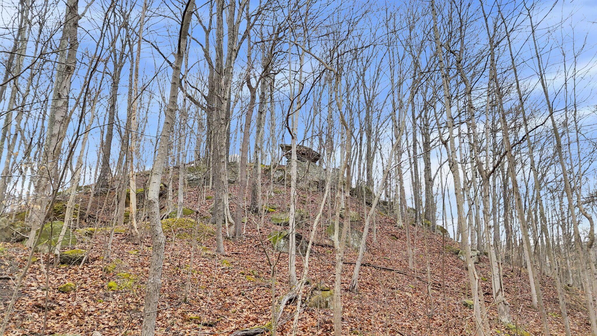 32290 Bailey Run Road Property Photo 34